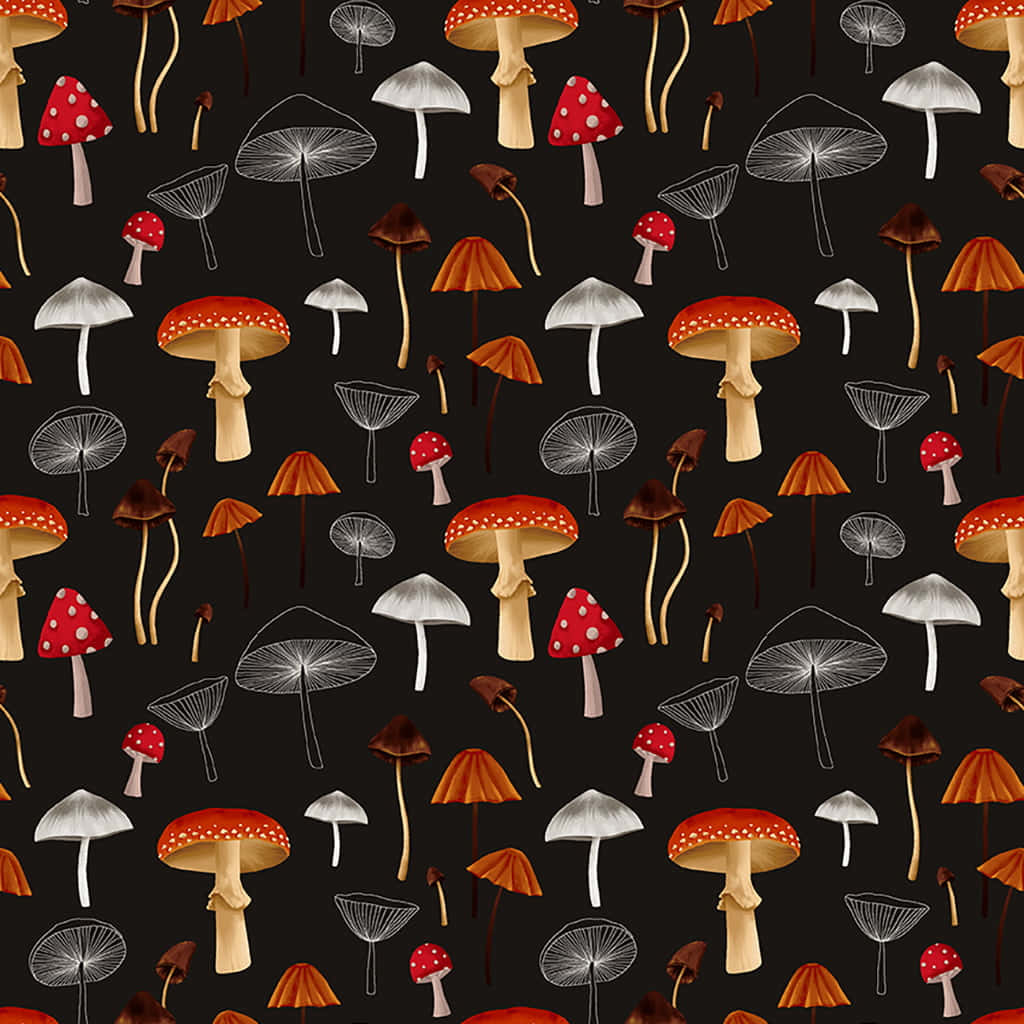 Kawaii Mushroom 桌布 壁紙 — 一個深色背景，充滿了紅色、白色、橙色和棕色的彩色蘑菇，並帶有白色線條藝術草圖。