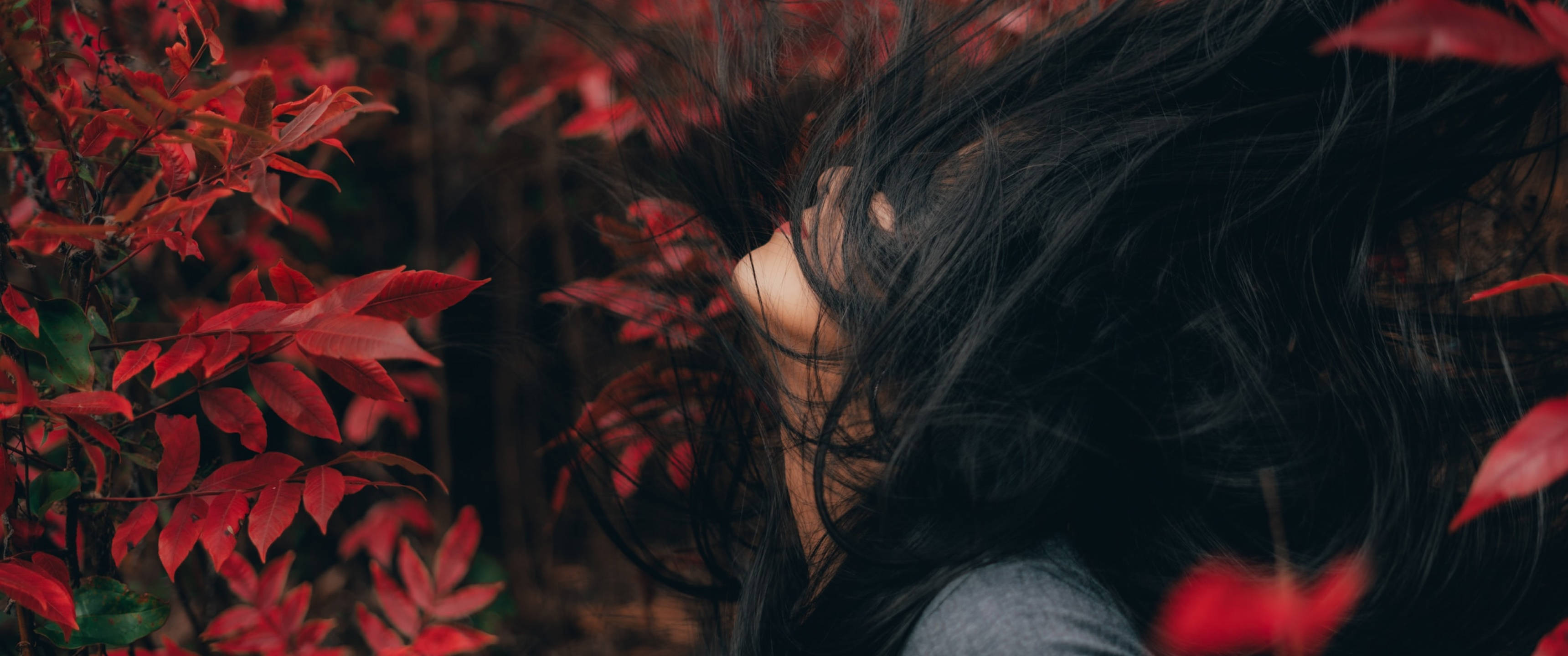 紅黑 桌布 壁紙 — 一個深色頭髮的人喺森林入面被鮮紅色嘅秋葉部分遮擋住。