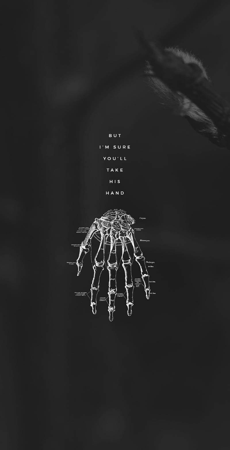 Ghostemane 桌布 壁紙 — 一個清晰嘅解剖學手部圖表漂浮喺黑暗背景上，帶有模糊嘅動物剪影同文字『但我肯定你會握住佢嘅手』。