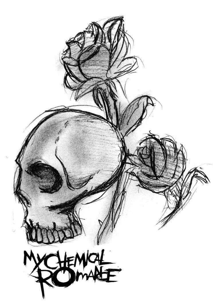 my chemical romance 桌布 壁紙 — 一個清晰的黑白素描，描繪一個人類頭骨，額頭和下巴線長出玫瑰。