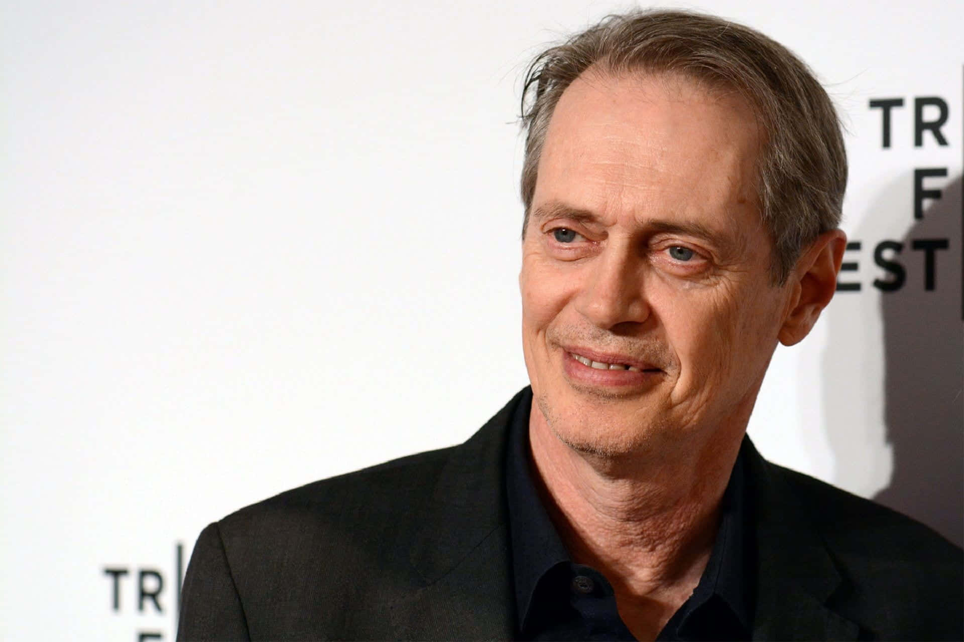 steve buscemi 桌布 壁紙 — 一個灰髮藍眼男士的頭像特寫，微微微笑，背景為白色並帶有部分文字。