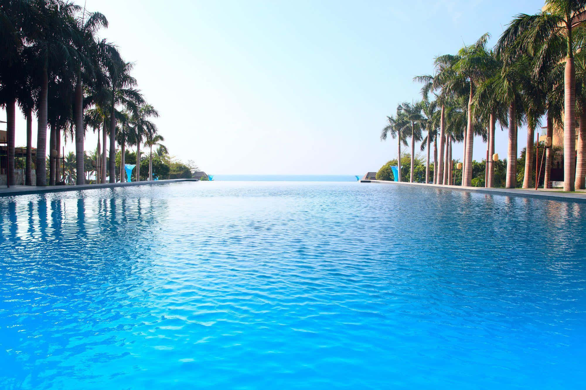 Beach Swimming Pool 桌布 壁紙 — 一個無邊際泳池，清澈的藍色海水與地平線無縫融合，兩旁是高聳的棕櫚樹，天空晴朗。