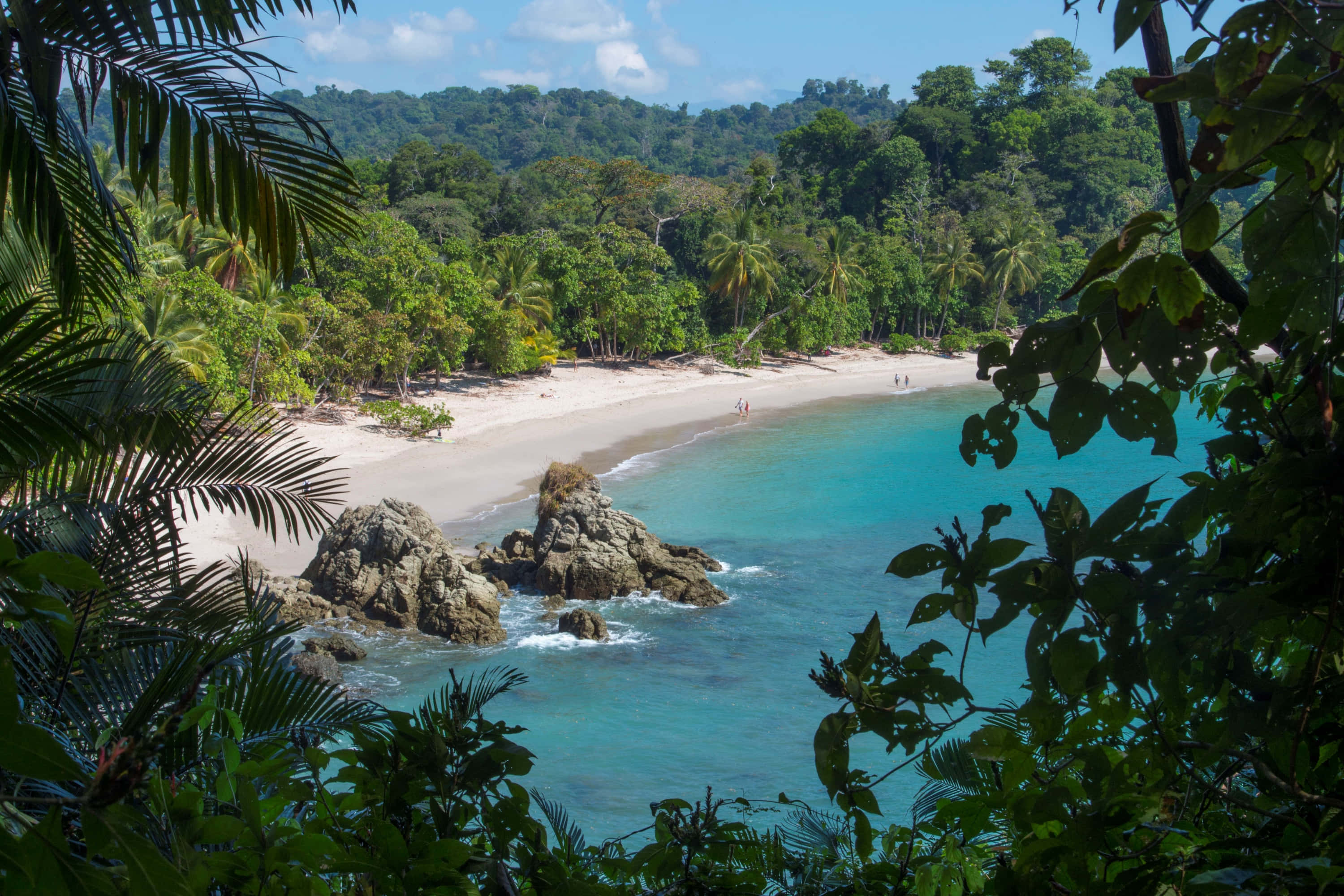 Costa Rica 桌布 壁紙 — 一個熱帶海灘，被茂密的綠色植物環繞，碧綠的海水和白色的沙灘在明亮的藍天下。