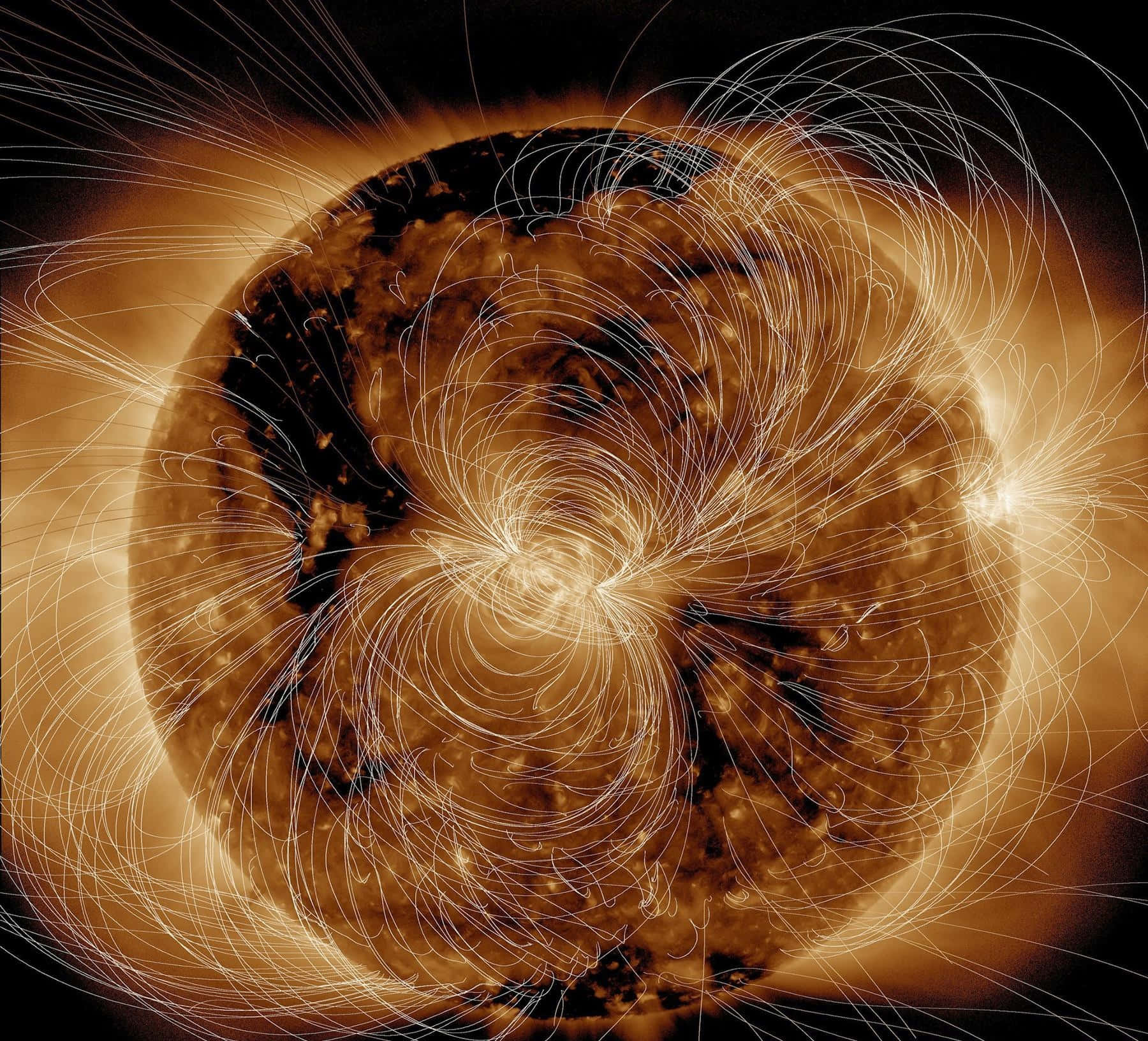 Magnetic Field 桌布 壁紙 — 一個熾熱的太陽，帶有發光的磁場線，在黑暗的宇宙背景下向外拱起。