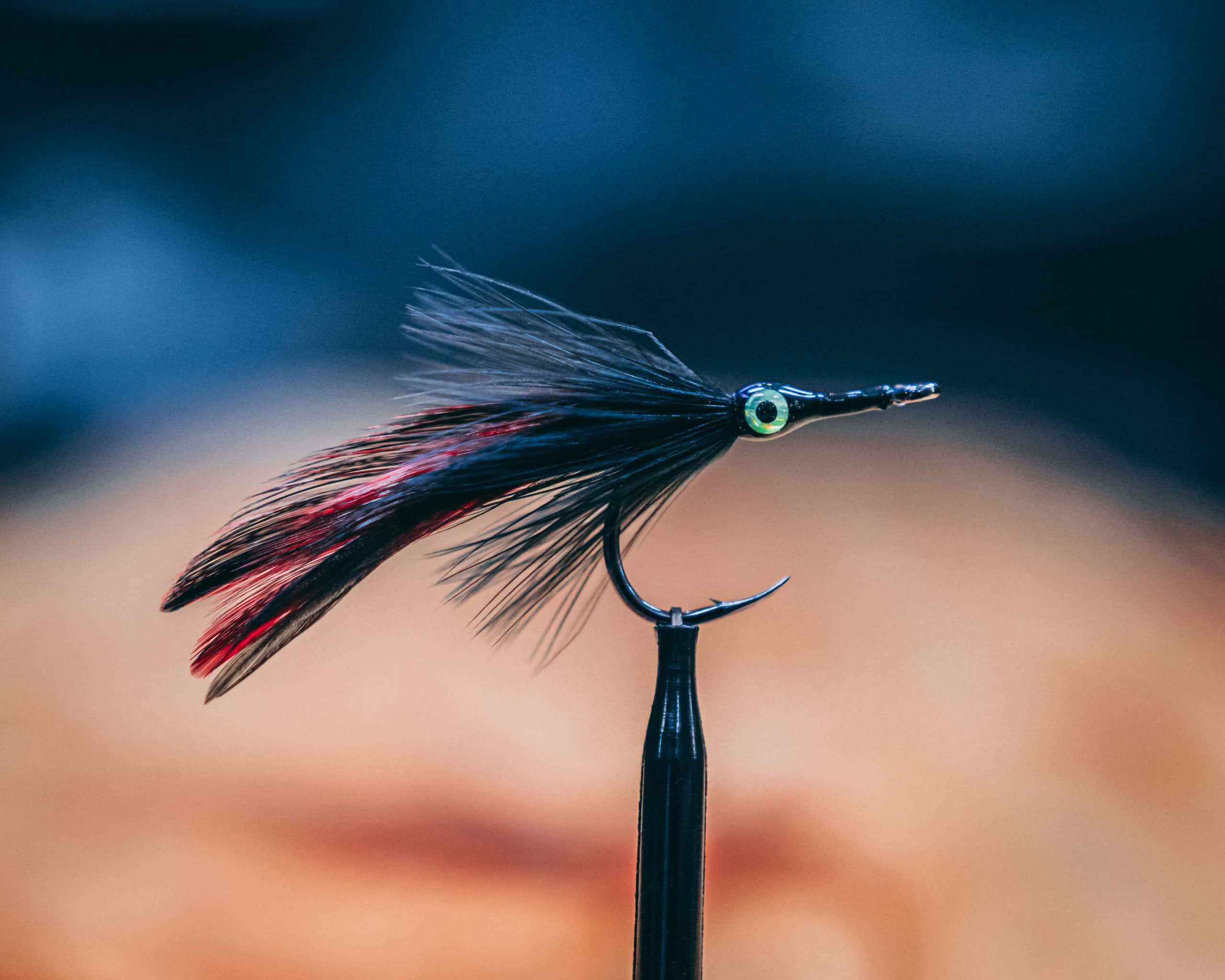 Fishing Bait 桌布 壁紙 — 一個特寫鏡頭，展示一個黑紅相間的飛蠅釣魚假餌，帶有綠色眼睛，安裝在黑色支架上，背景是模糊的藍色和橙色。