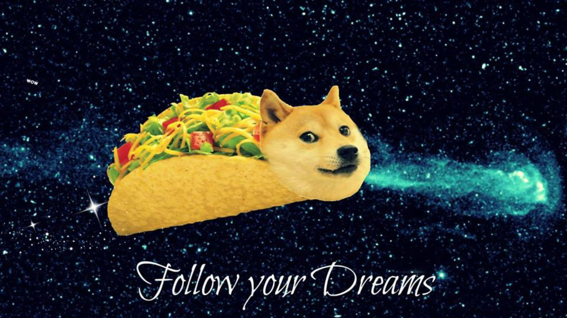 Dog Memes 桌布 壁紙 — 一個狗臉墨西哥卷餅劃過滿天星斗的夜空，留下一條發光的青綠色痕跡，上面寫著「追隨你的夢想」。