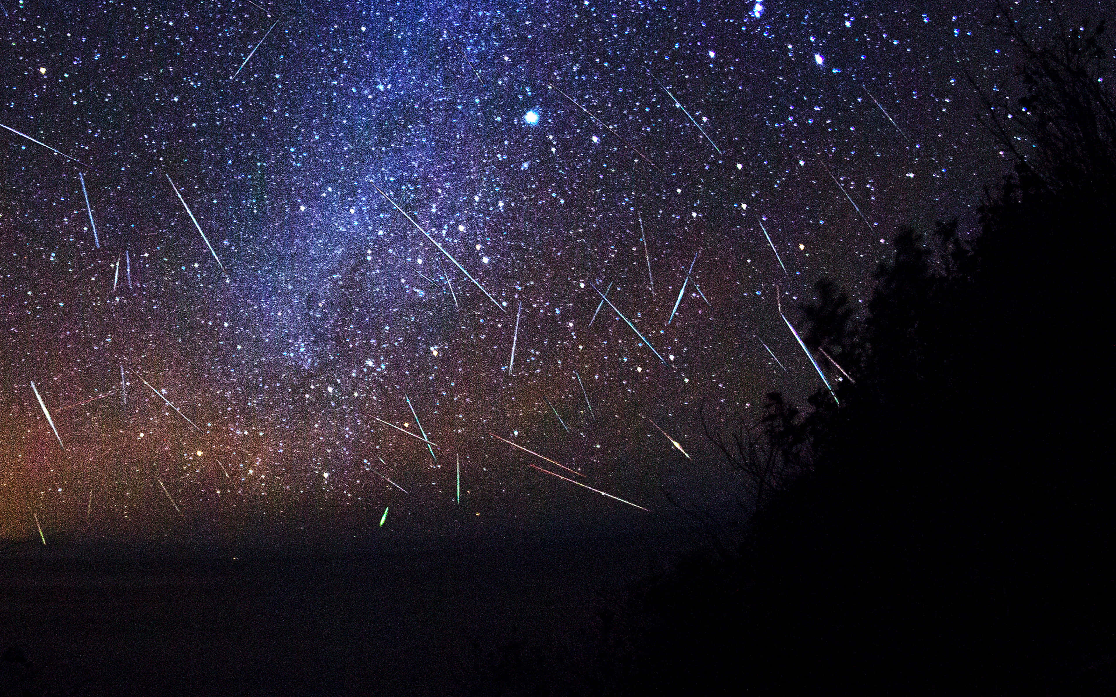 meteor 桌布 壁紙 — 一個璀璨的夜空，充滿了劃過的流星和發光的星星，在黑暗的樹木剪影之上。
