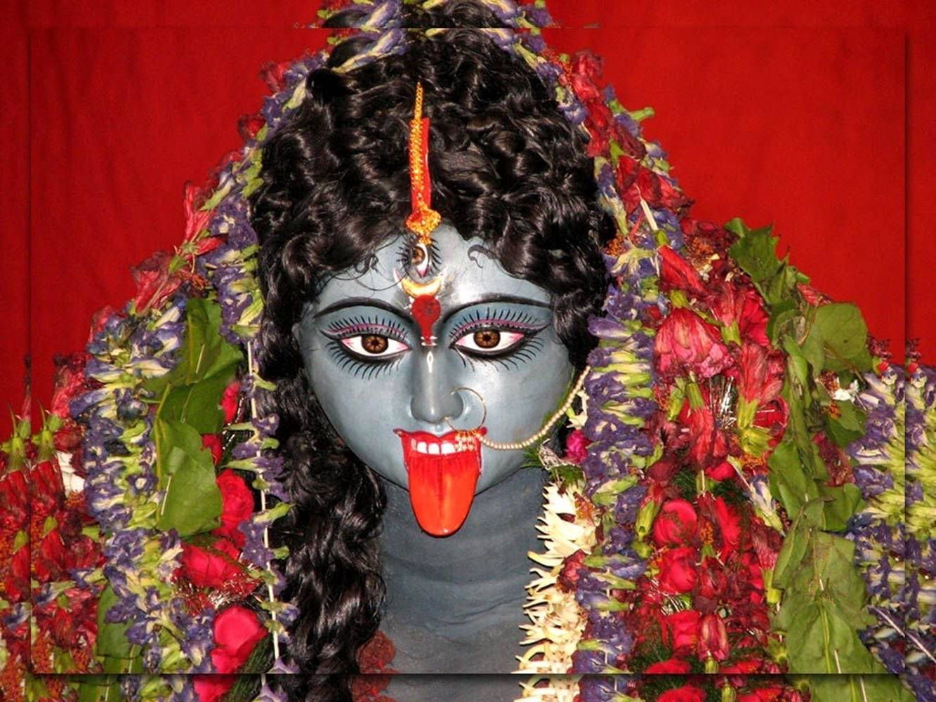 Maa Kali 桌布 壁紙 — 一個生動的藍皮膚神祇，伸出舌頭，飾有紅色和紫色的花環，背景為深紅色。