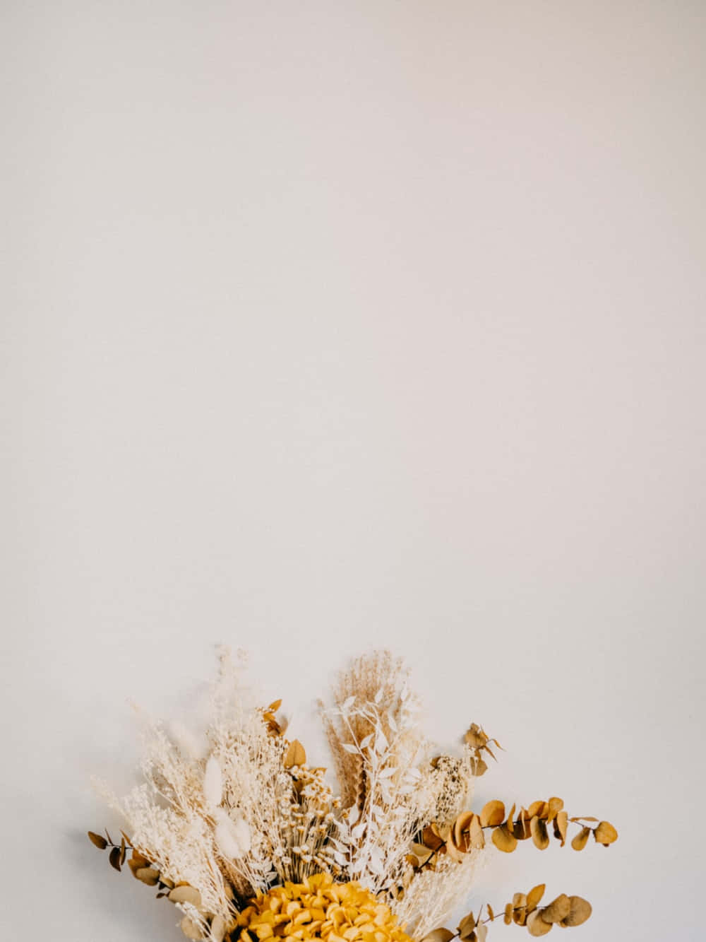 Dried Flowers 桌布 壁紙 — 一個由乾燥蒲葦、尤加利和黃色繡球花組成的精緻花藝，襯托在簡約的米白色背景上。