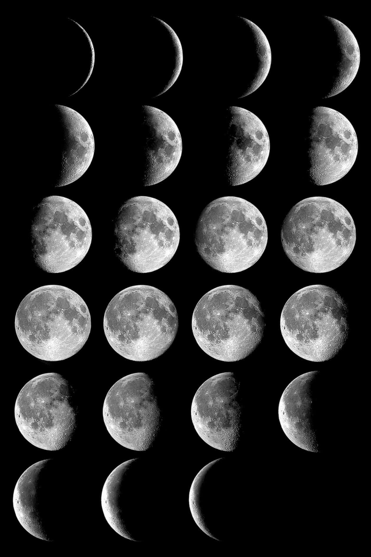Moon Phases 桌布 壁紙 — 一個由新月到滿月再回到新月的月相網格，背景為黑色虛空。