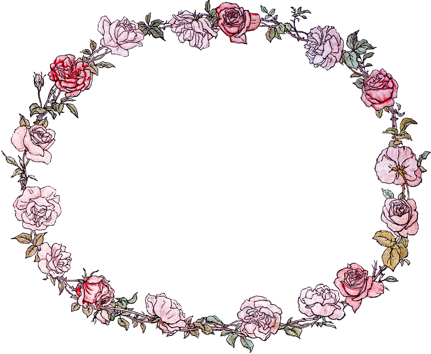 Floral Wreath 桌布 壁紙 — 一個由粉紅色和紅色玫瑰以及綠色葉子組成的精緻圓形花環，在純白色背景上形成優雅的花卉邊框。