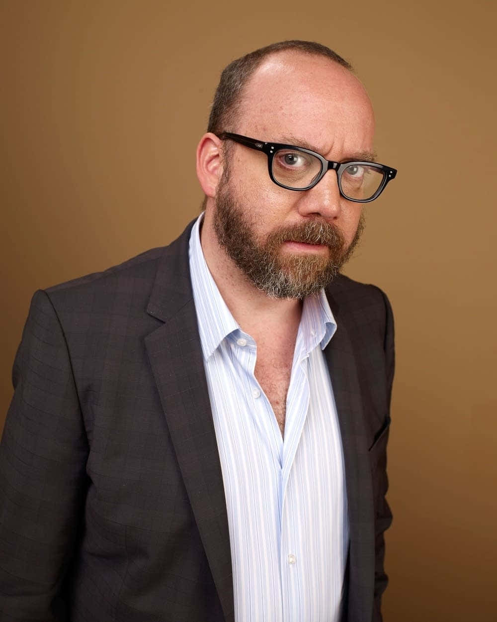 Paul Giamatti 桌布 壁紙 — 一個留鬍鬚戴眼鏡的男人，在純棕色背景下專注地凝視鏡頭。