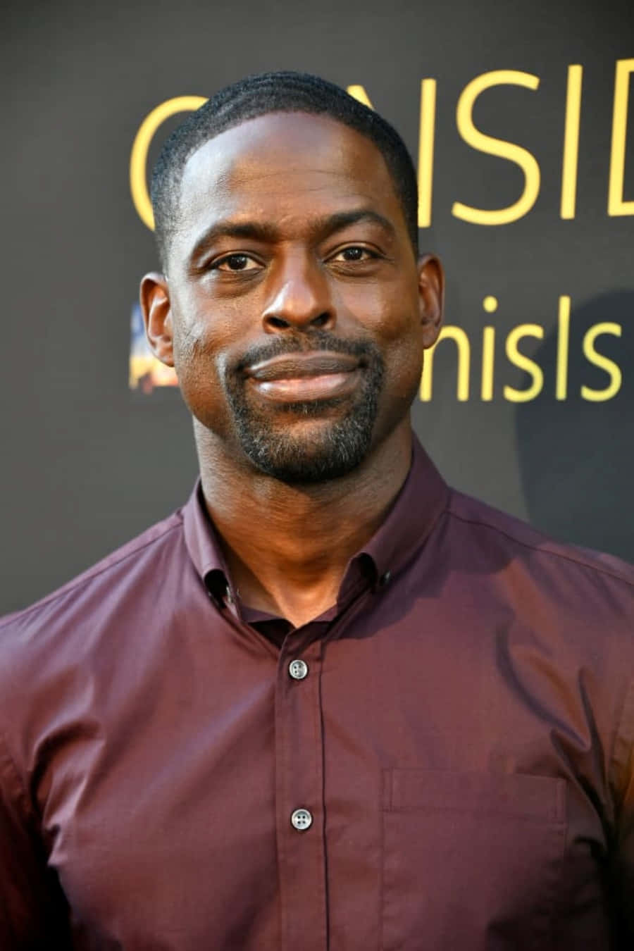 Sterling K Brown 桌布 壁紙 — 一個留鬍鬚短髮的男人對著鏡頭微笑，穿著栗色鈕扣襯衫，背景深色並有金色文字。
