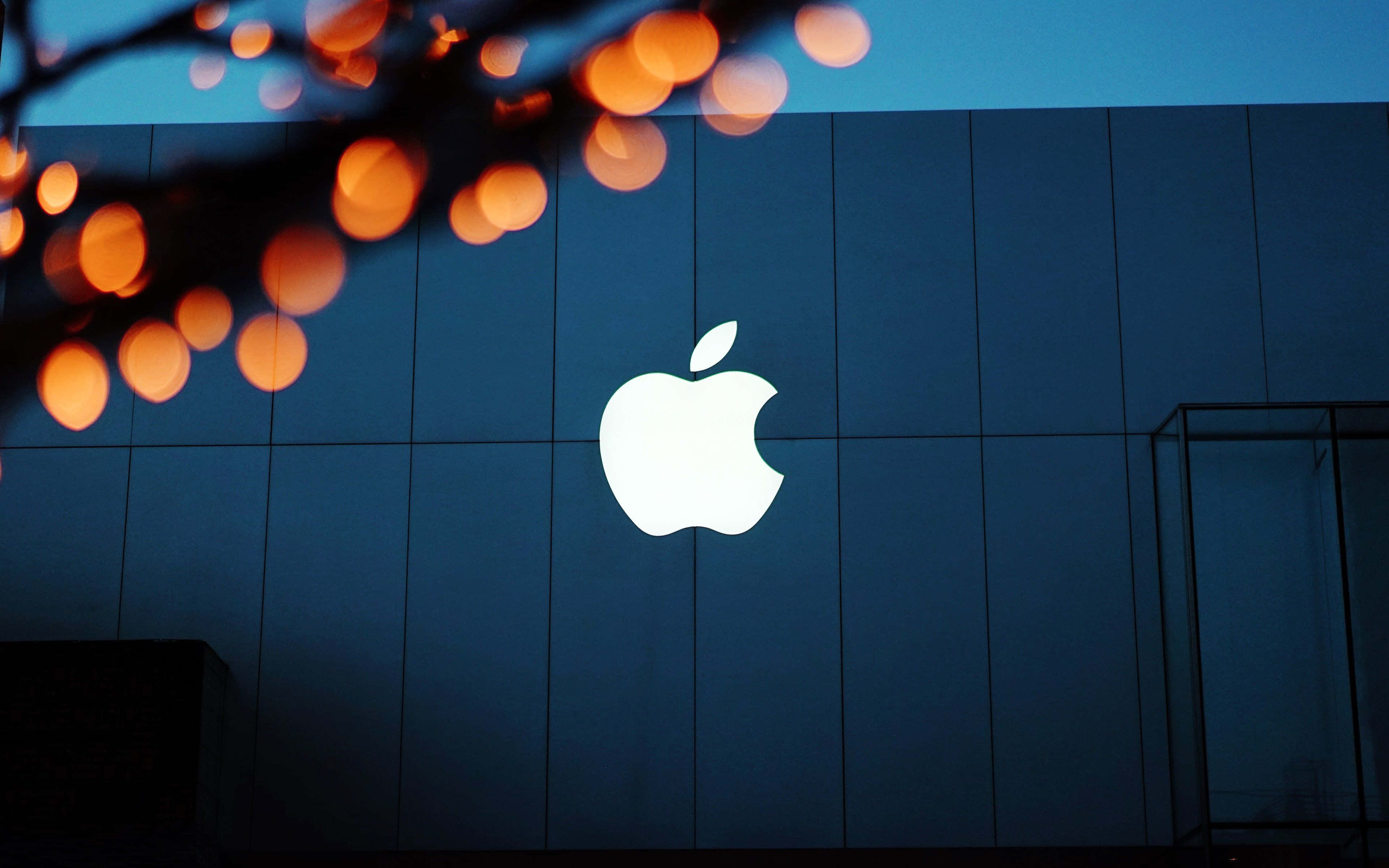 4K Apple 桌布 壁紙 — 一個發光的Apple標誌在深藍色建築物外牆上，由黃昏時樹枝的溫暖橙色散景燈光框住。