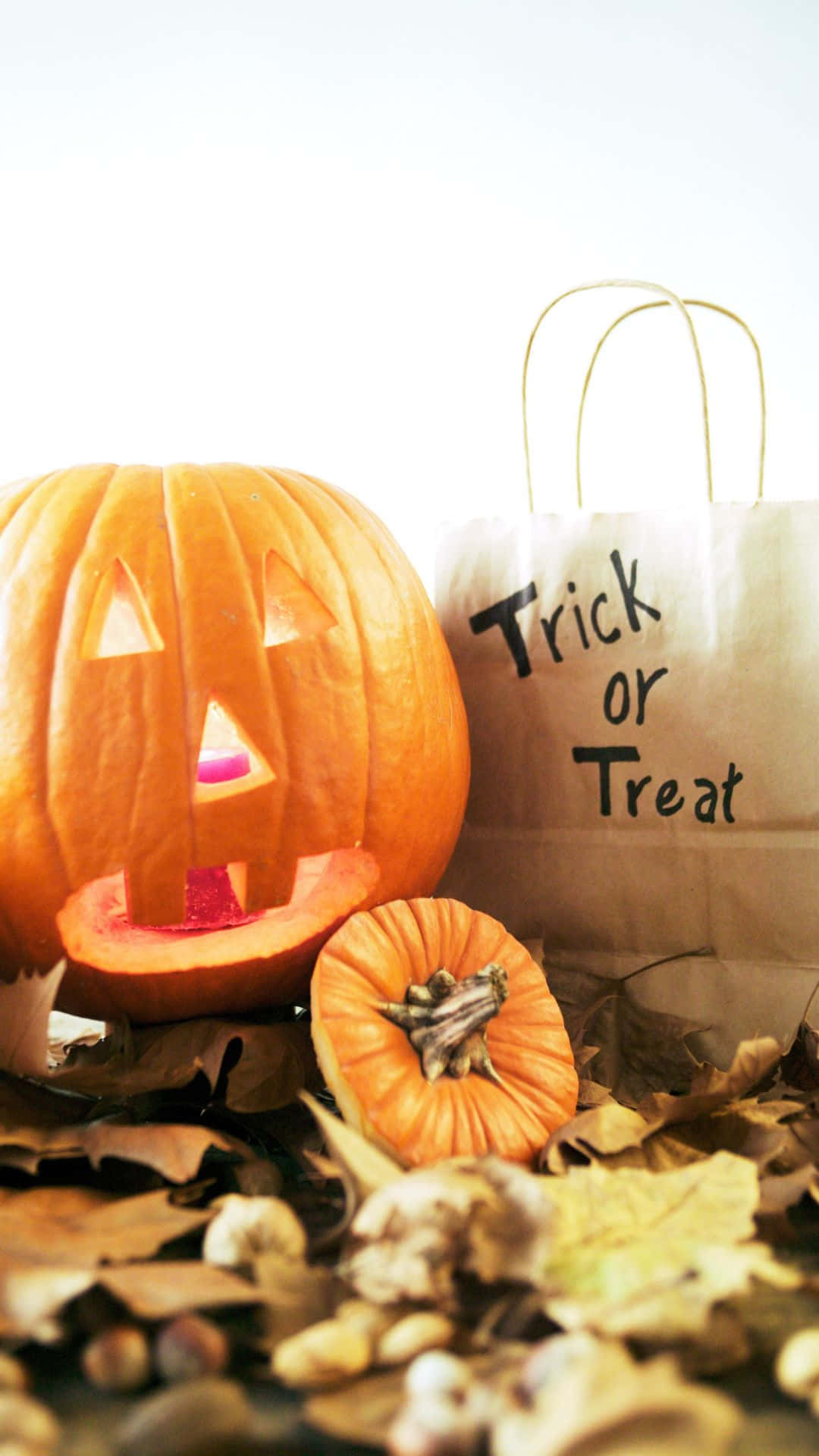 Trick Or Treat Bags 桌布 壁紙 — 一個發光的南瓜燈，帶有粉紅色蠟燭，放在一堆秋葉和橡果上的「Trick or Treat」袋旁邊。
