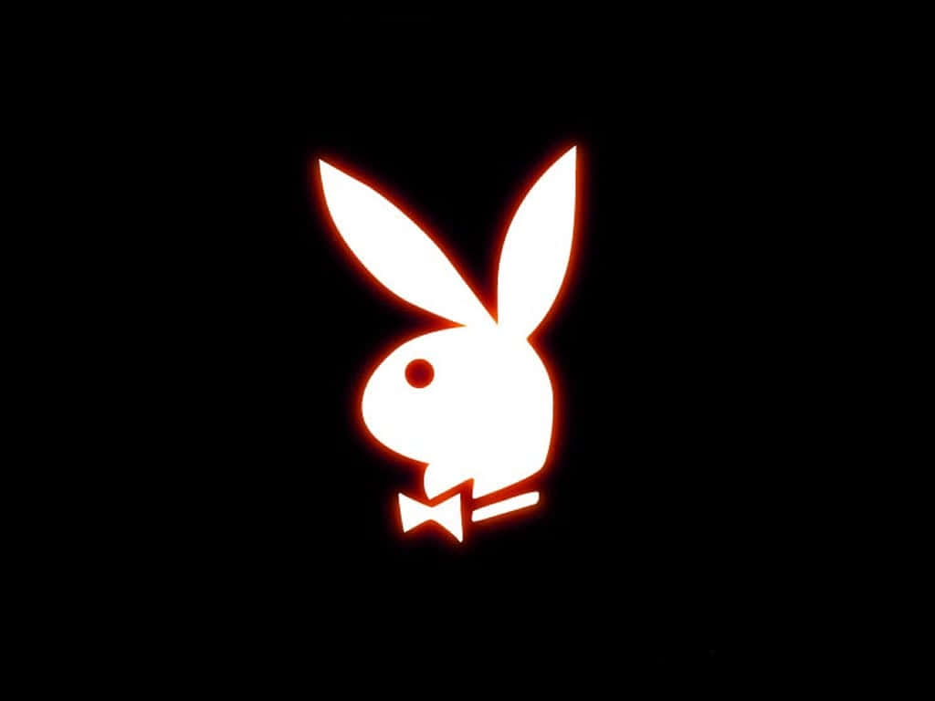 playboy 桌布 壁紙 — 一個發光的白色兔子標誌，帶有橙色勾勒的蝴蝶結，背景為黑色。