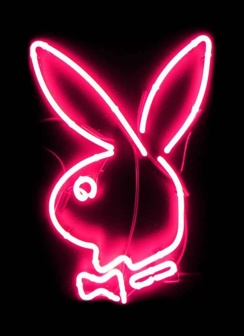 playboy 桌布 壁紙 — 一個發光的粉紅色霓虹燈標誌，在黑色背景上描繪了一個風格化的兔頭，帶有長耳朵和領結。