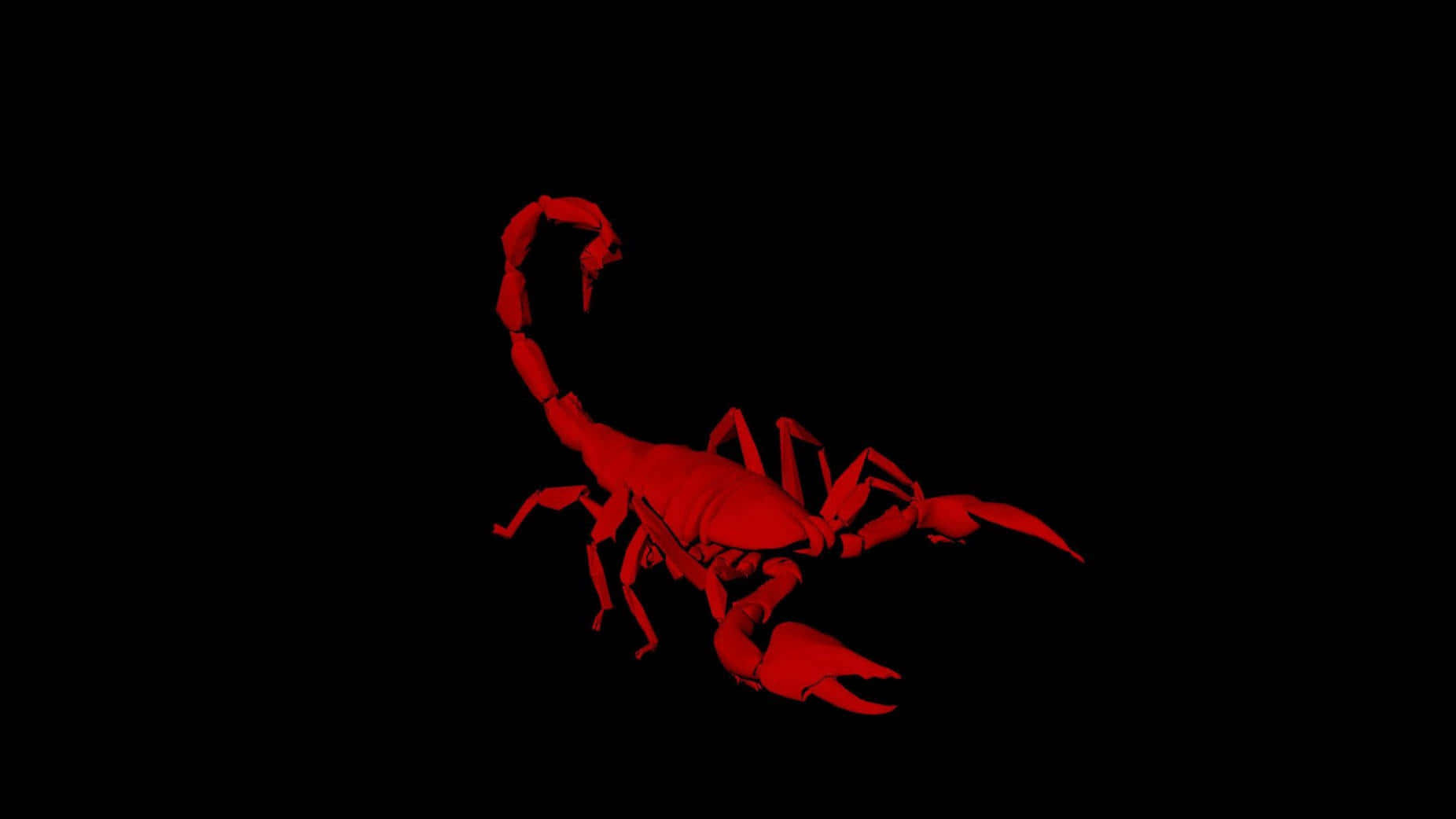 Red Scorpion 桌布 壁紙 — 一個發光的紅色蠍子剪影在純黑色背景上蓄勢待發，其彎曲的尾巴威脅性地弓起。