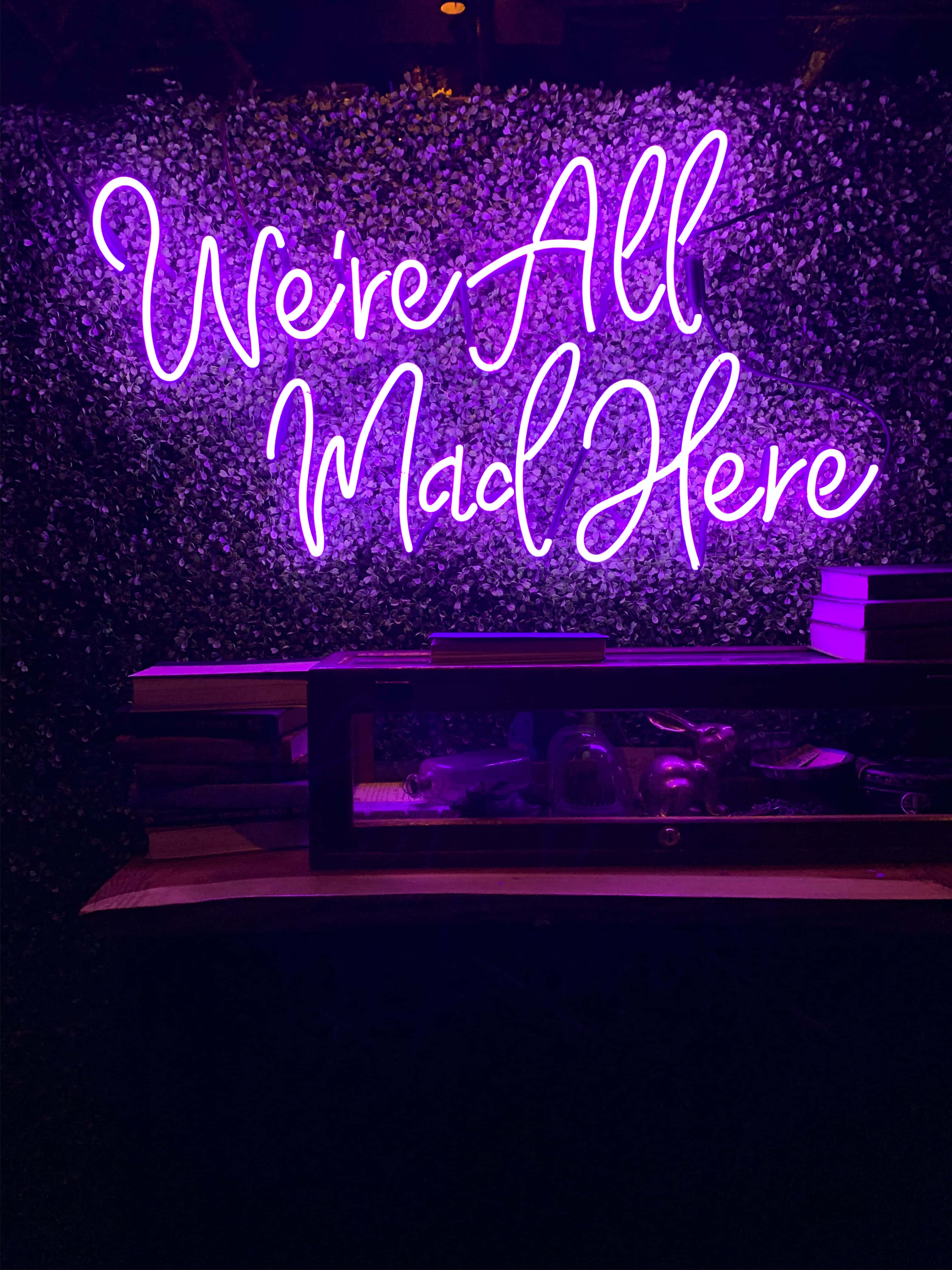 螢光紫 桌布 壁紙 — 一個發光的紫色霓虹燈牌，上面寫著 We're All Mad Here，照亮了一個黑暗的房間，房間裡有紋理牆壁和下方的木架。
