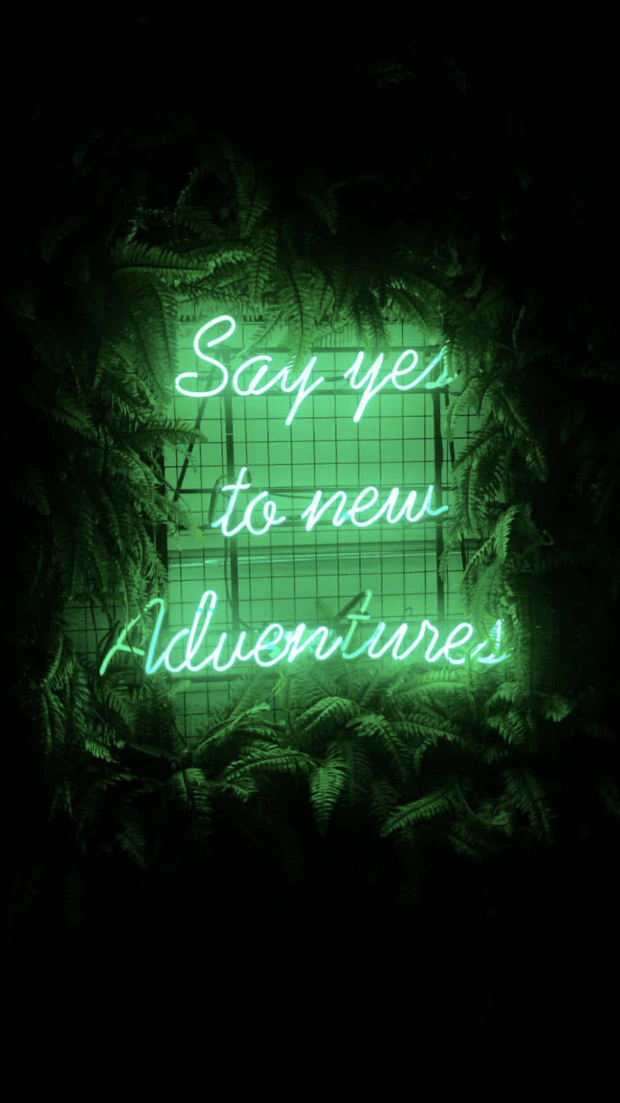 螢光綠美學 桌布 壁紙 — 一個發光的綠色霓虹燈牌，上面寫著「Say yes to new Adventures」，以茂密的蕨類植物框住，背景為深色。