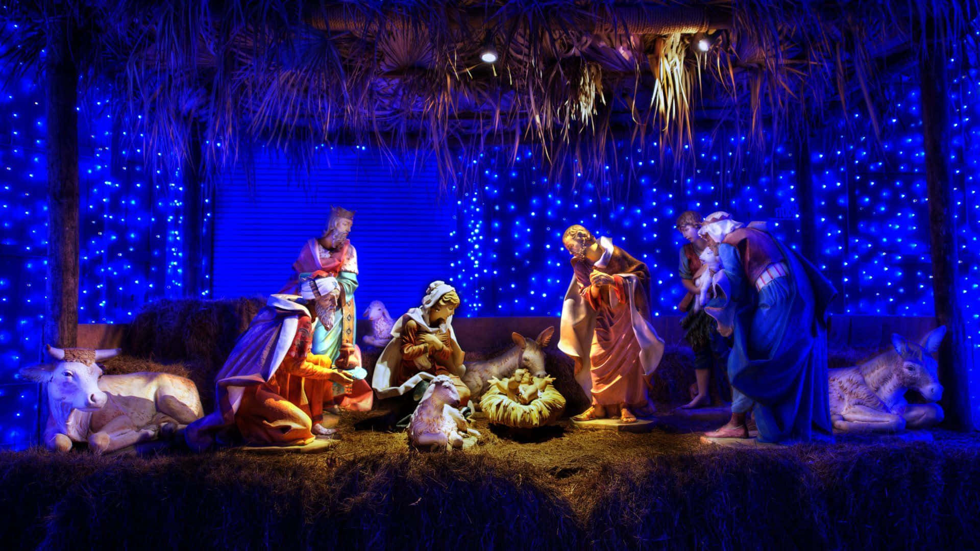 Nativity Scene 桌布 壁紙 — 一個發光的耶穌誕生場景，人物雕像在茅草屋頂下，屋頂裝飾著藍色仙女燈。