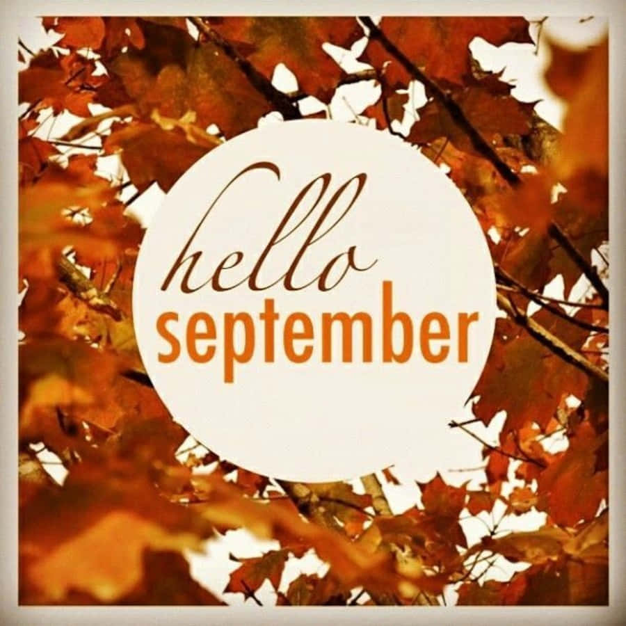 九月 桌布 壁紙 — 一個白色圓圈，帶有手寫體 hello september 文字，覆蓋在鮮豔的橙色秋葉上，背景是明亮的天空。
