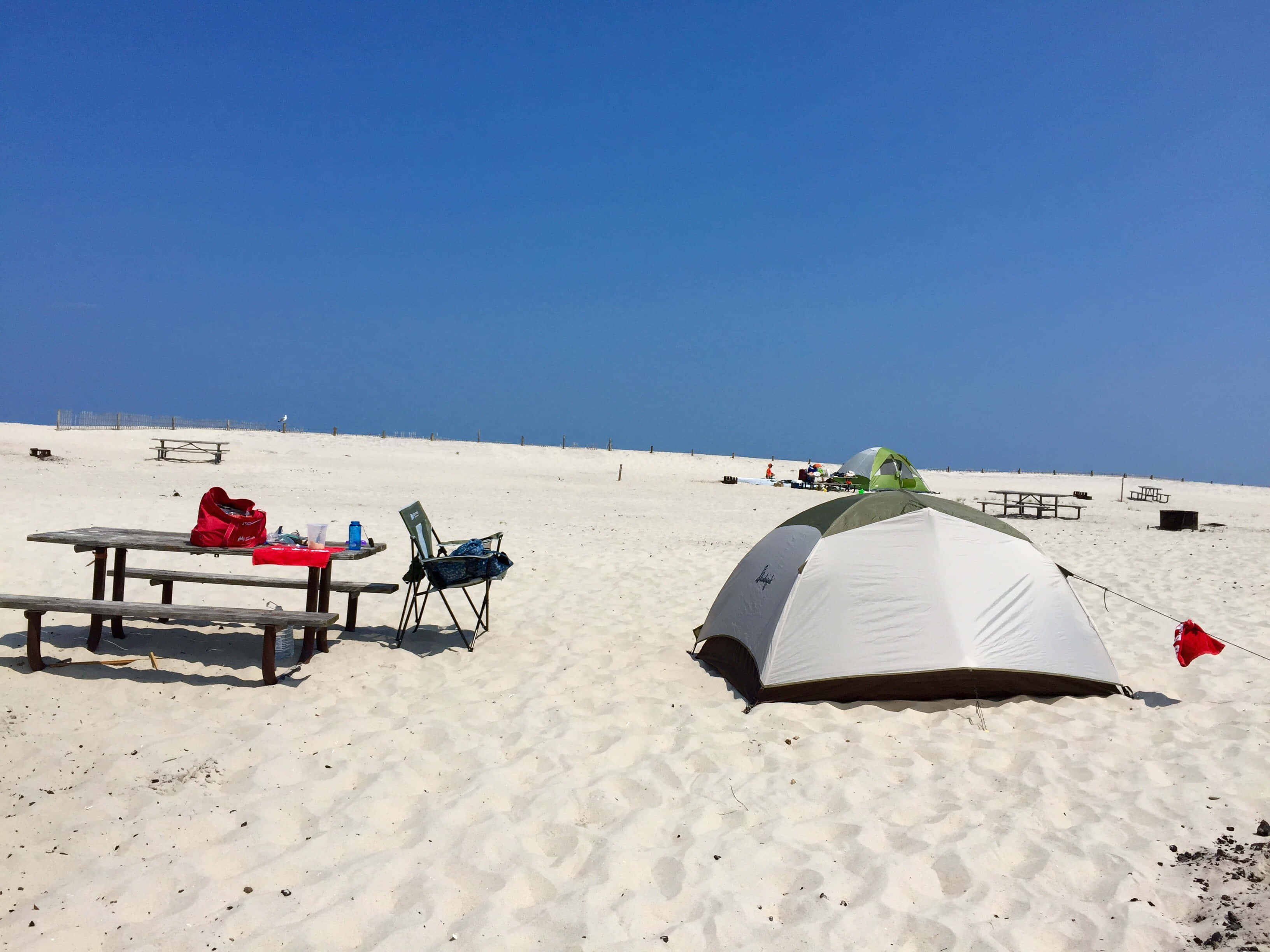 Beach Camping 桌布 壁紙 — 一個白色圓頂帳篷和野餐桌設置在廣闊明亮的沙灘上，天空清澈湛藍。