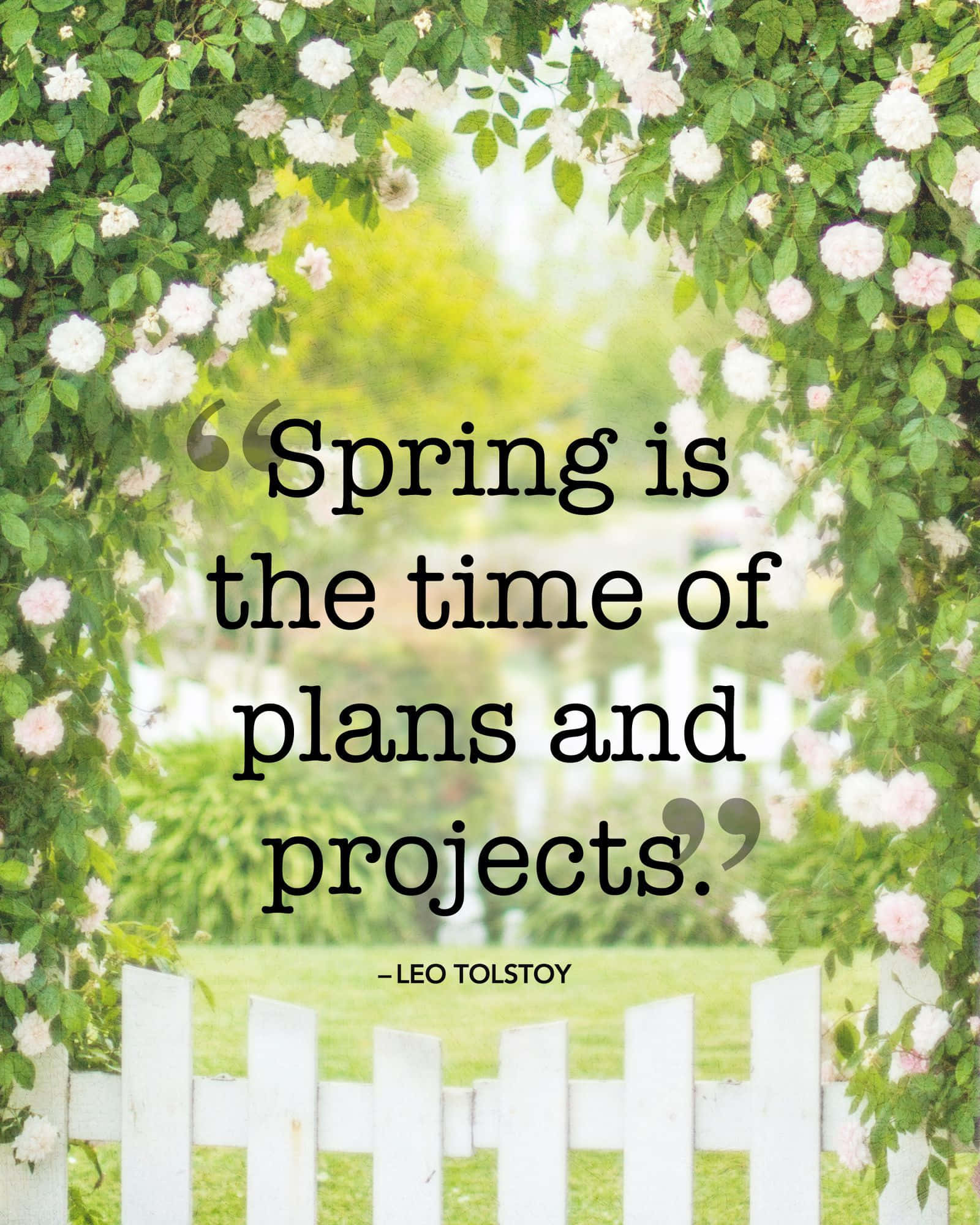 Spring Inspirational 桌布 壁紙 — 一個白色尖樁籬笆，被茂密的綠色藤蔓和盛開的白玫瑰環繞，並附有一句關於春天的引言。