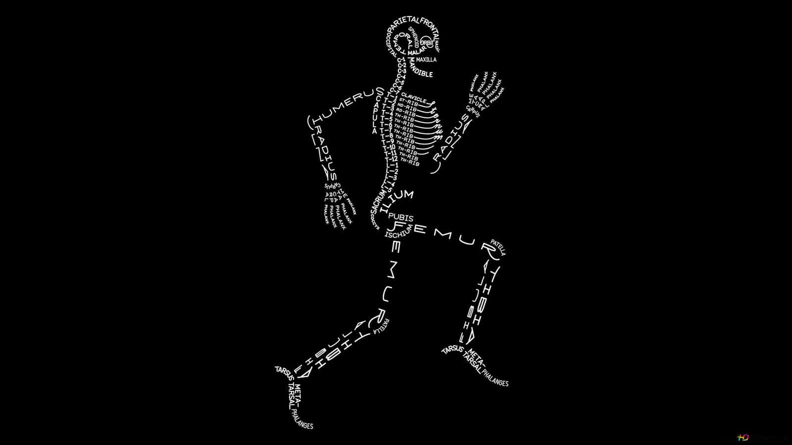 Bone 桌布 壁紙 — 一個白色文字為基礎的人體骨骼，以跑步姿勢呈現，背景為黑色，骨骼名稱構成圖形。