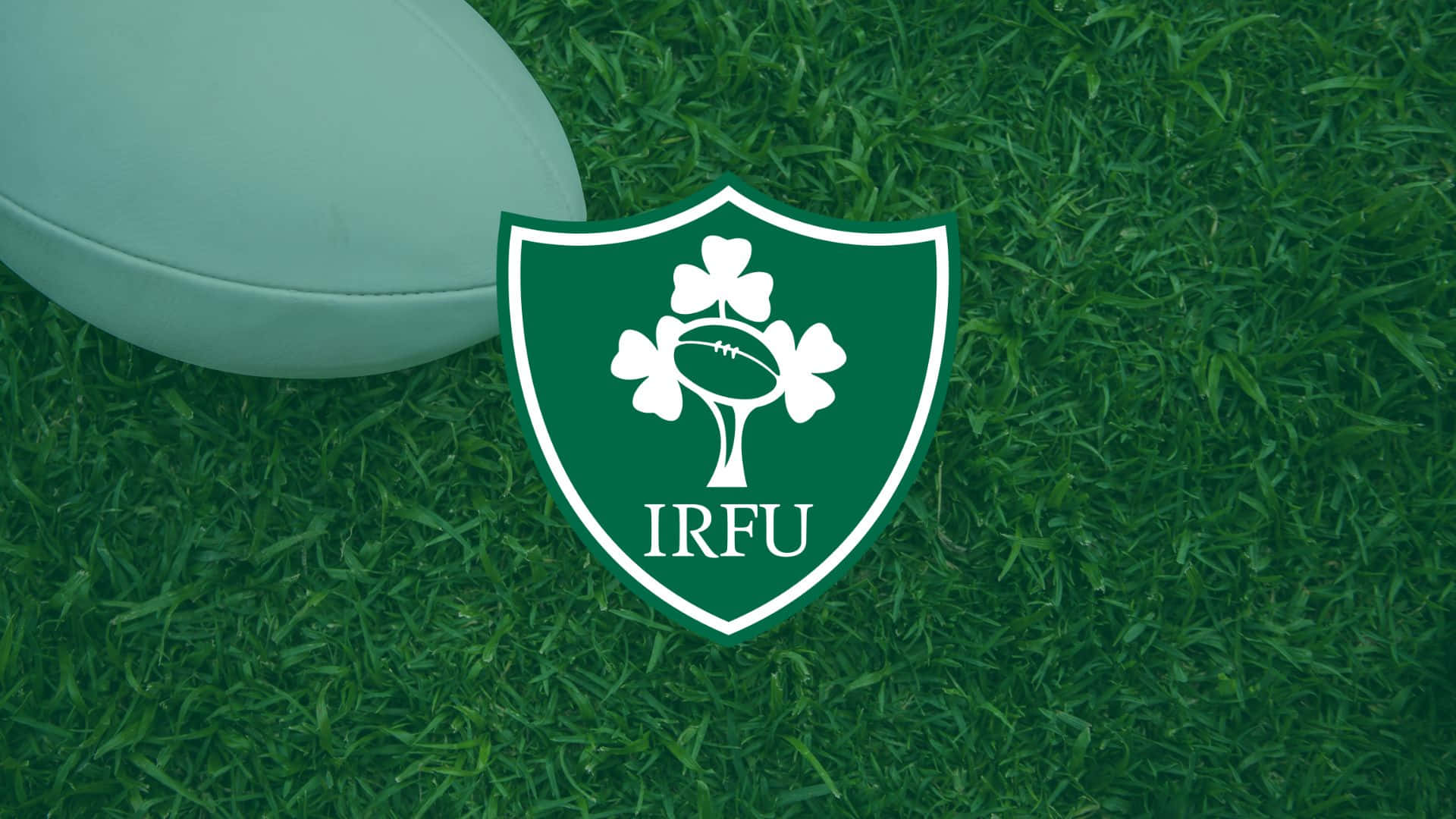 Ireland Rugby 桌布 壁紙 — 一個白色欖球放在愛爾蘭欖球聯盟標誌旁邊，背景是充滿活力的綠色草地。