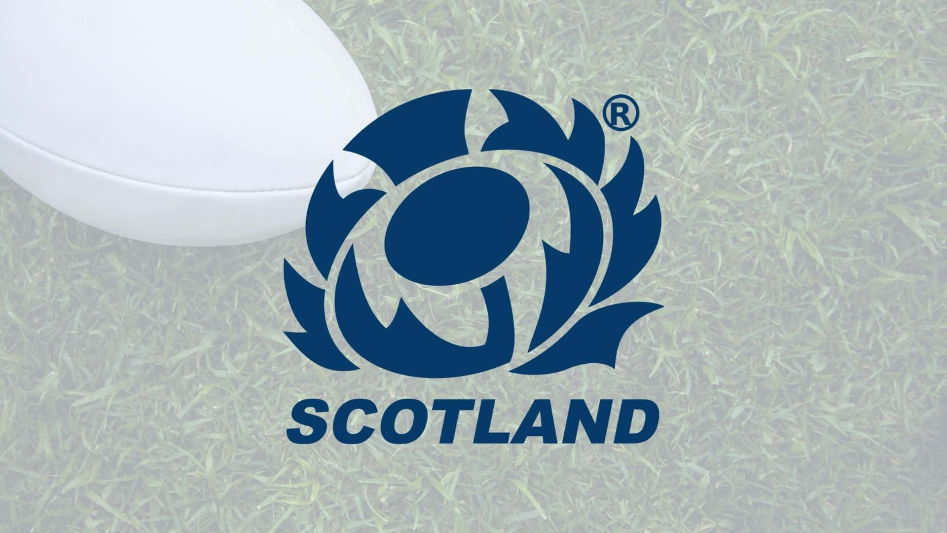 Scotland Rugby 桌布 壁紙 — 一個白色欖球放在蘇格蘭藍色薊花標誌旁邊，背景是模糊的綠色草地。
