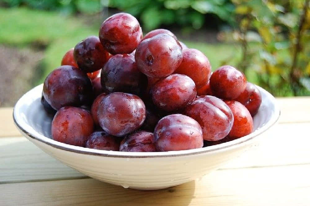 Red Plum 桌布 壁紙 — 一個白色碗裝滿多汁的紅葡萄，放在戶外的木桌上，在明亮的陽光下。