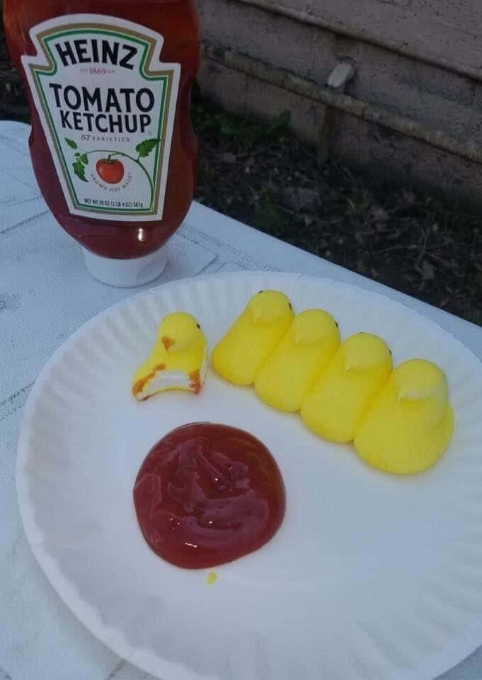 Food Memes 桌布 壁紙 — 一個白色紙碟上放有一團茄汁和黃色棉花糖小雞（其中一個被咬了一口），旁邊有一瓶亨氏茄汁在露台桌上。