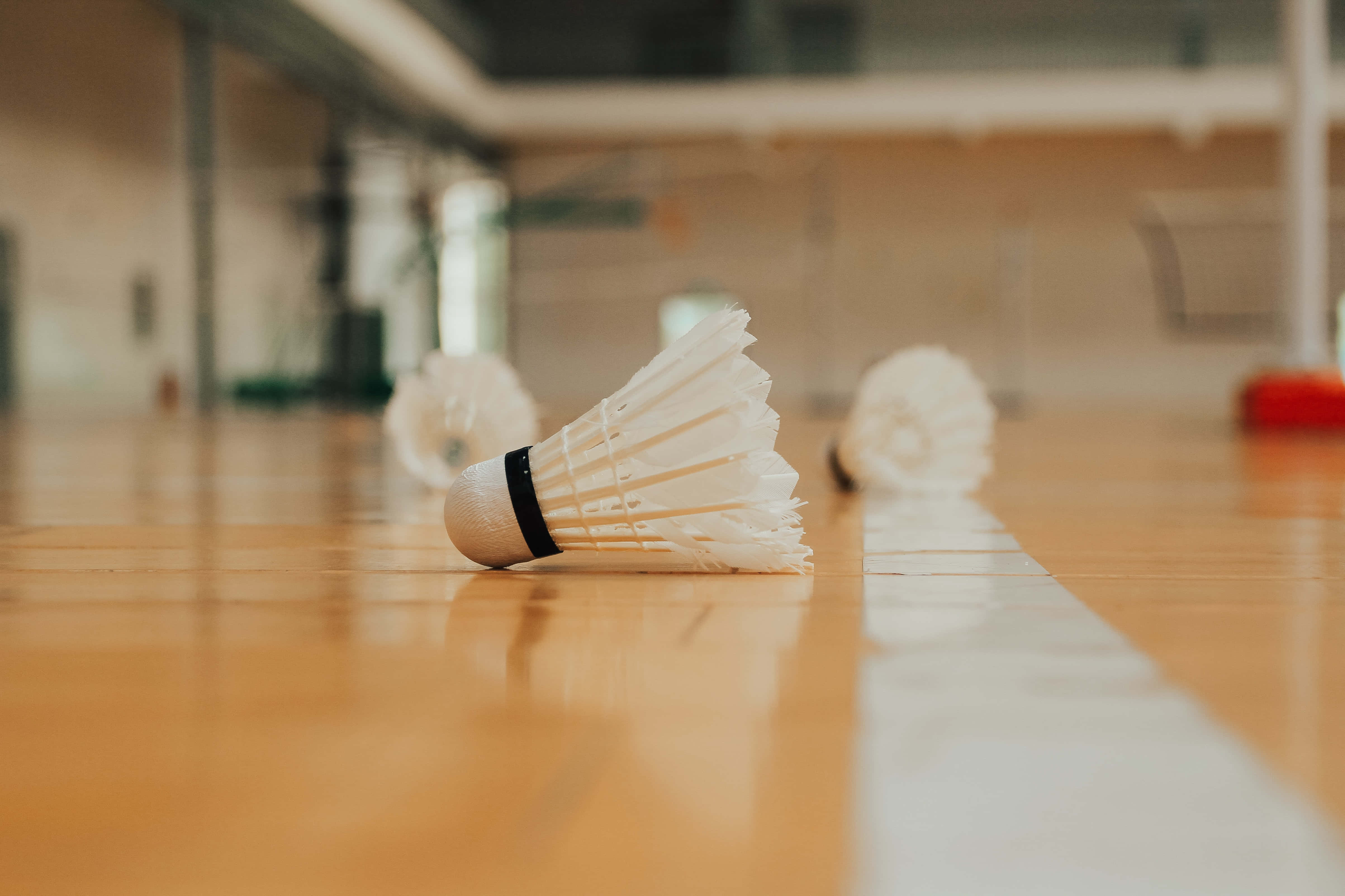 Badminton 桌布 壁紙 — 一個白色羽毛球嘅近鏡，放喺拋光木地板球場上，背景模糊。