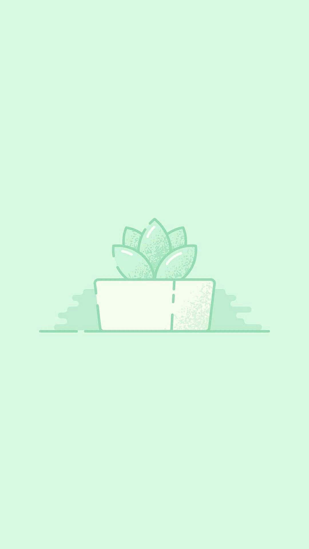 Cute Green 桌布 壁紙 — 一個白色花盆中的極簡線條藝術多肉植物，放置在帶有細微紋理的柔和薄荷綠色背景上。