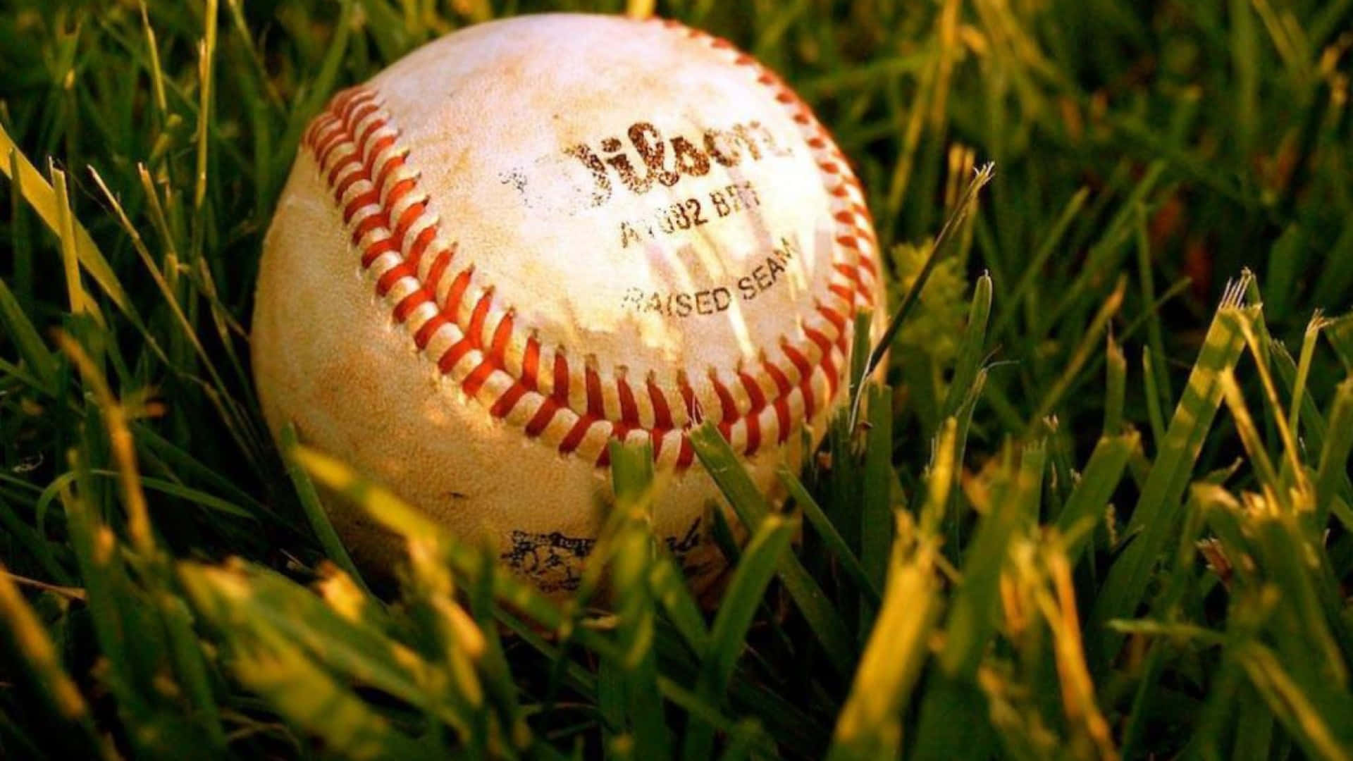 Softball 桌布 壁紙 — 一個磨損的Wilson棒球放在沐浴在溫暖金色陽光下的鮮綠色草地上。