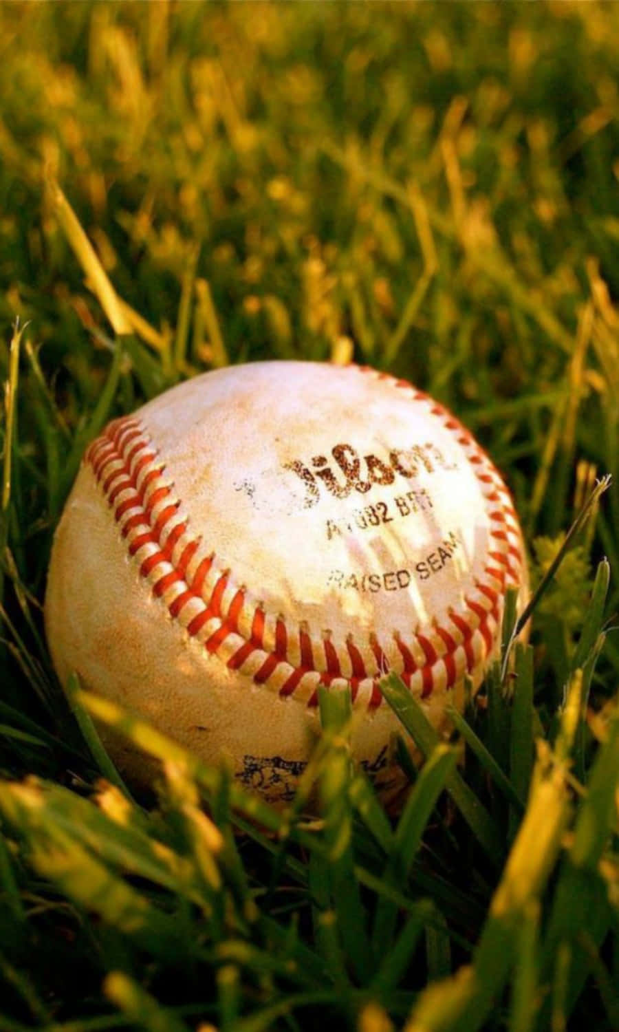 Cool Baseball 桌布 壁紙 — 一個磨損的Wilson棒球躺在陽光普照的綠色草地上，帶有金色高光。