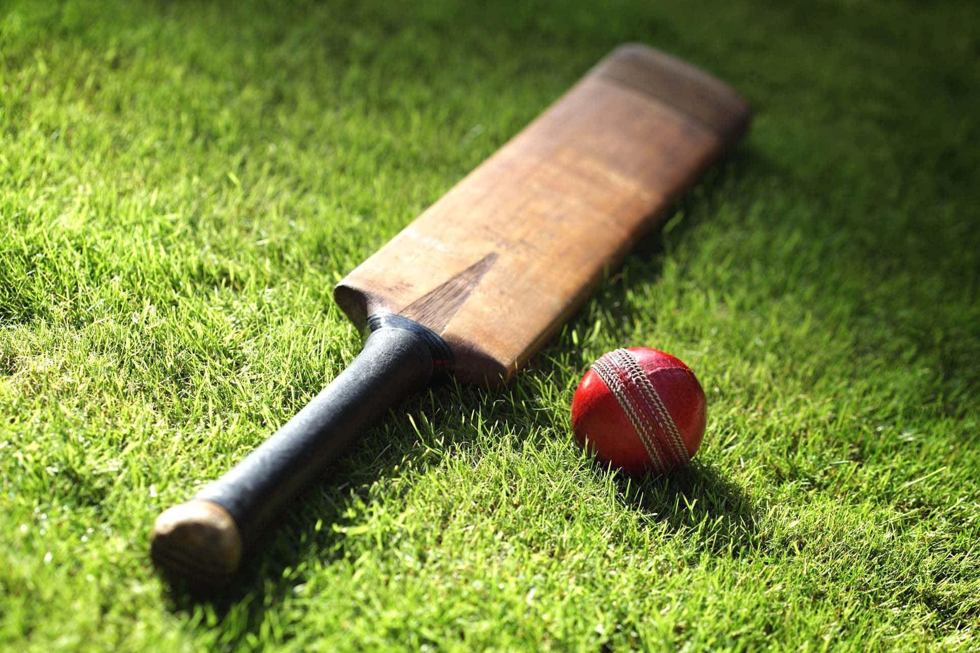 Cricket 桌布 壁紙 — 一個磨損的木製板球拍和紅色皮球在明亮的陽光下放在鮮綠色的草地上。