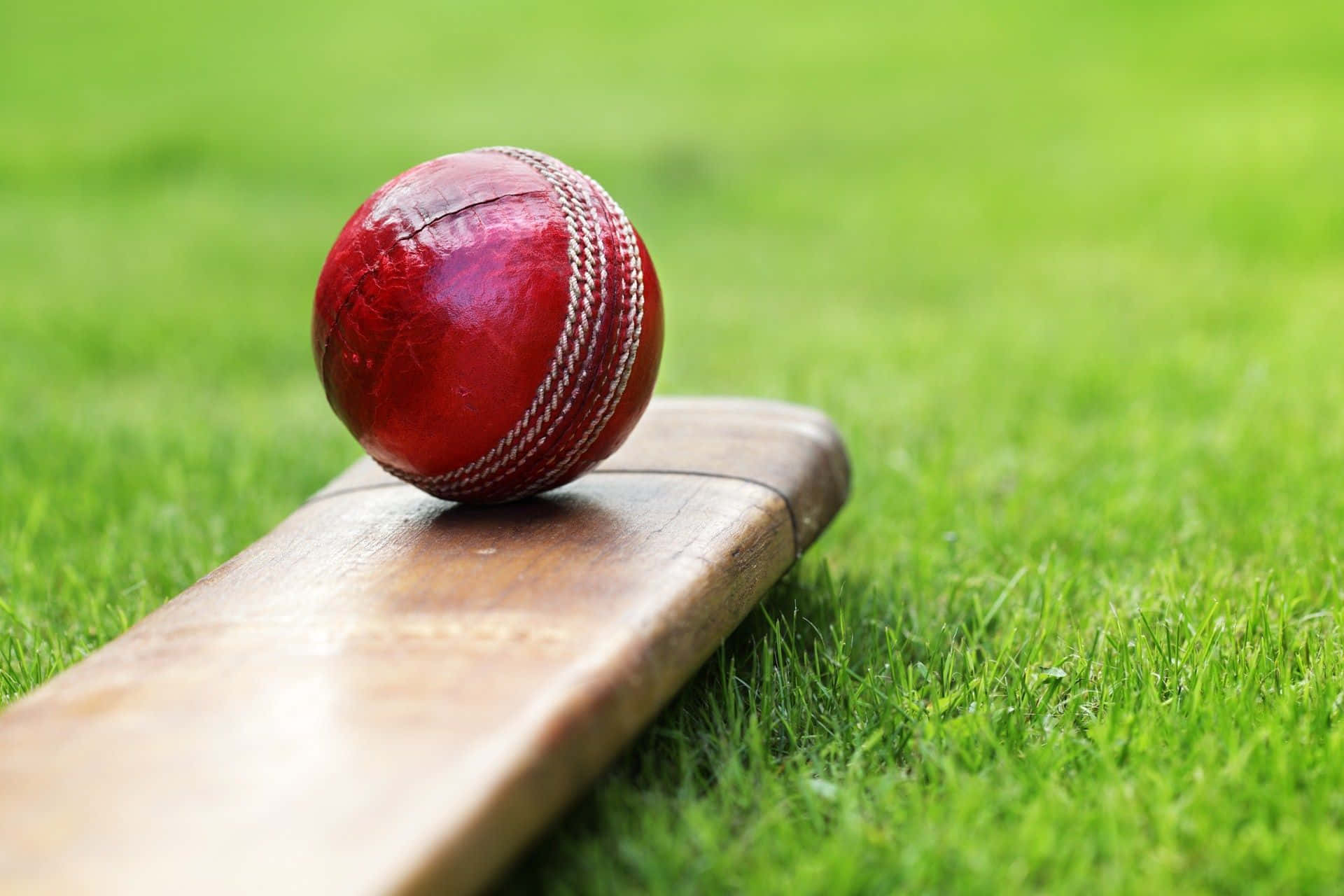 Cricket 桌布 壁紙 — 一個磨損的紅色皮革板球放在木製球拍葉片上，置於充滿活力的綠色草地上。