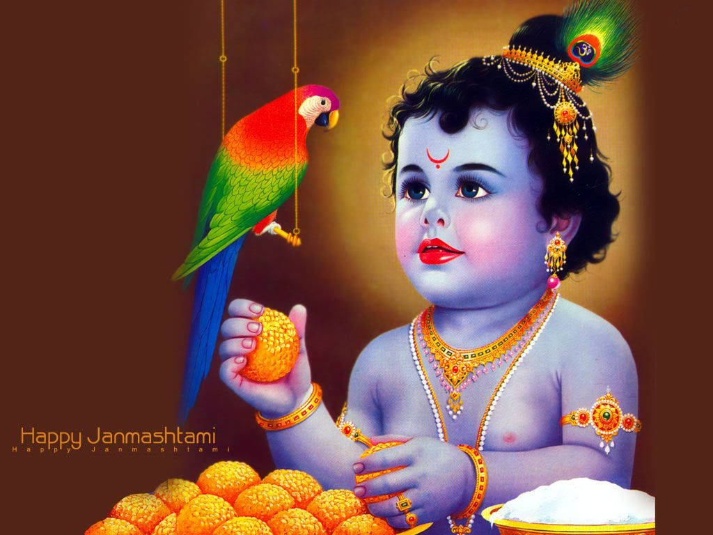 cute krishna 桌布 壁紙 — 一個神聖嘅藍皮膚細路戴住金飾，攞住糖果，而一隻色彩繽紛嘅鸚鵡企喺附近。