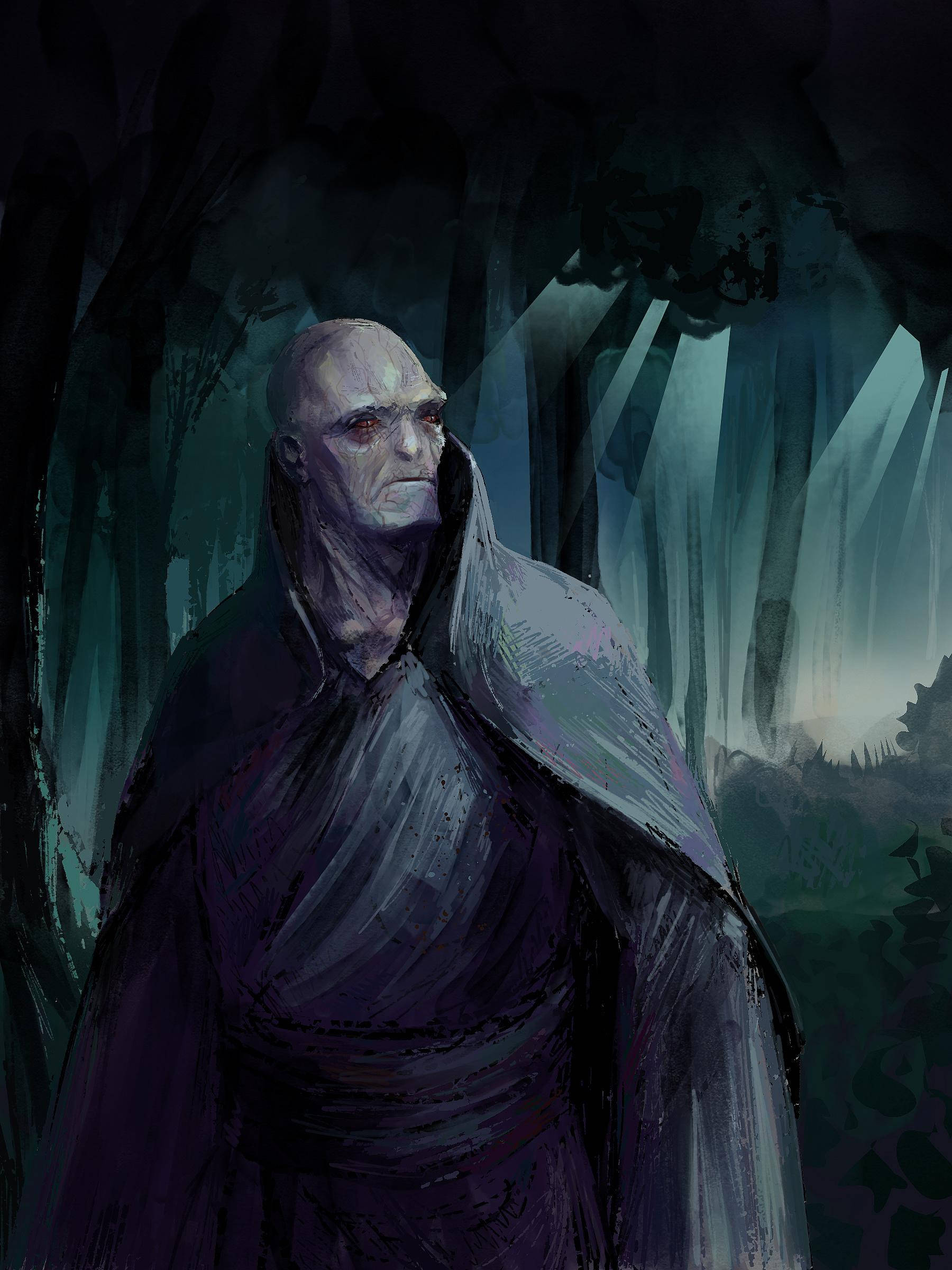 voldemort 桌布 壁紙 — 一個禿頭、瘦削的身影穿著深色長袍，莊嚴地站在陰暗的森林中，詭異的光束穿透上方的樹冠。
