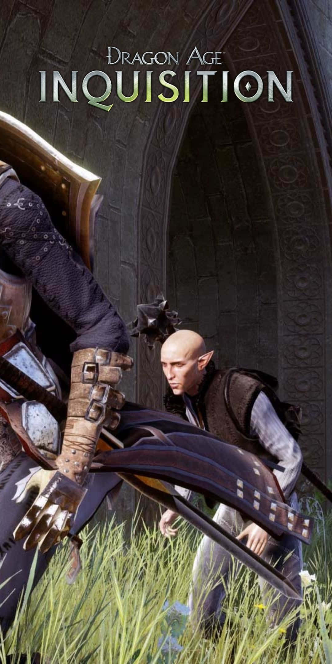 Pixel 3 Dragon Age Inquisition 桌布 壁紙 — 一個禿頭尖耳的精靈蹲在一個身穿盔甲、手持大盾的戰士旁邊，身處石拱門附近的草地上。