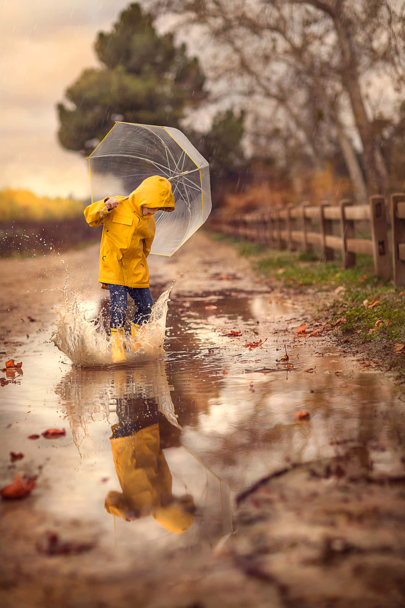 Yellow Raincoat 桌布 壁紙 — 一個穿著亮黃色雨衣和雨靴的孩子，拿著透明雨傘，開心地跳過泥濘的水坑。