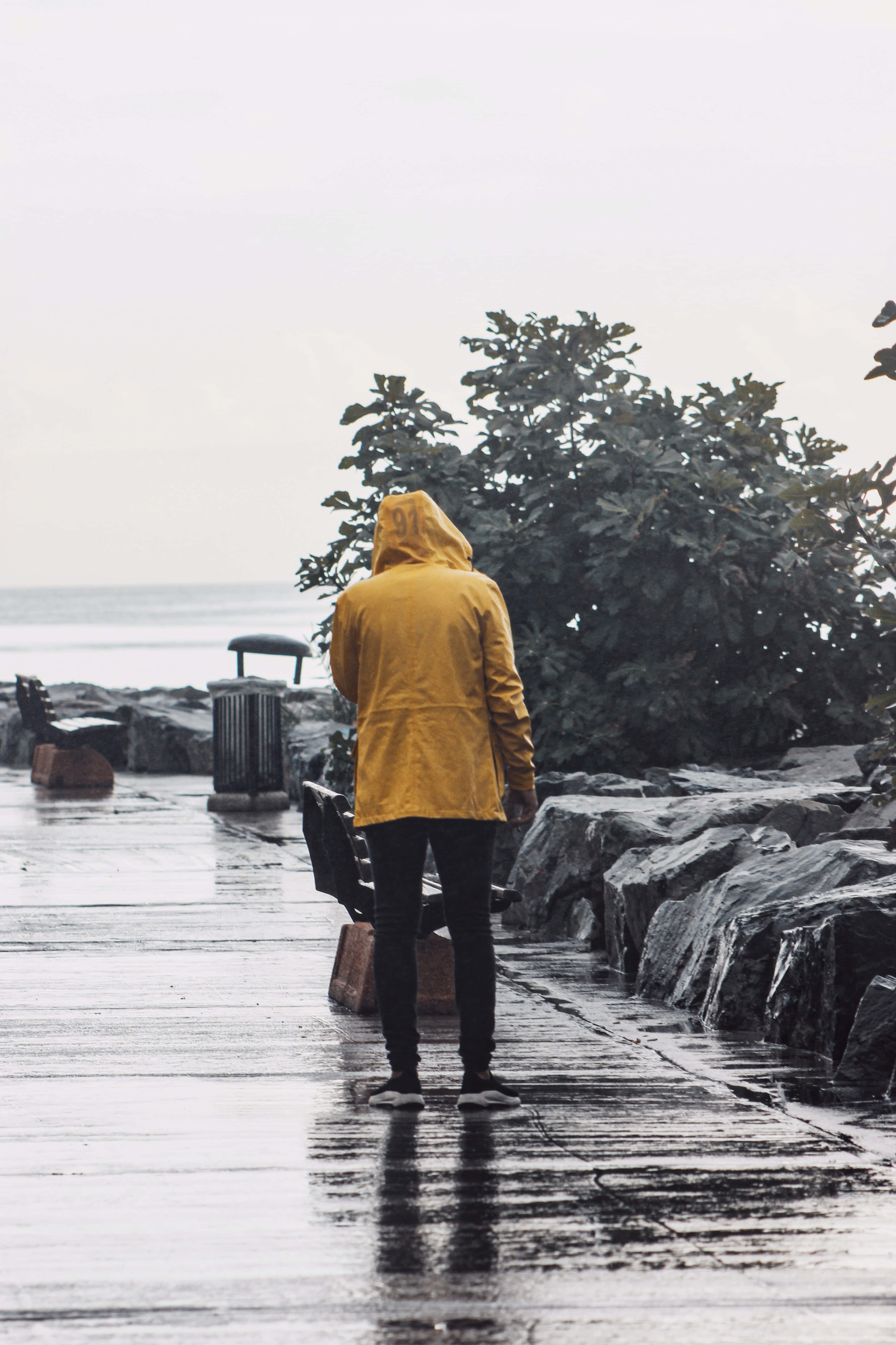 Yellow Raincoat 桌布 壁紙 — 一個穿著亮黃色雨衣的人獨自站在濕漉漉的石徑上，俯瞰著陰天下的灰色海洋。