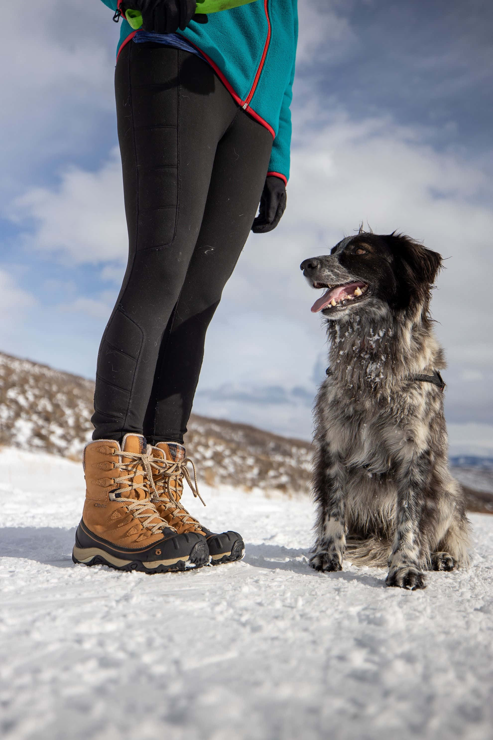 Winter Hiking 桌布 壁紙 — 一個穿著冬季裝備的人站在雪地上，旁邊有一隻快樂的黑白狗，天空多雲。