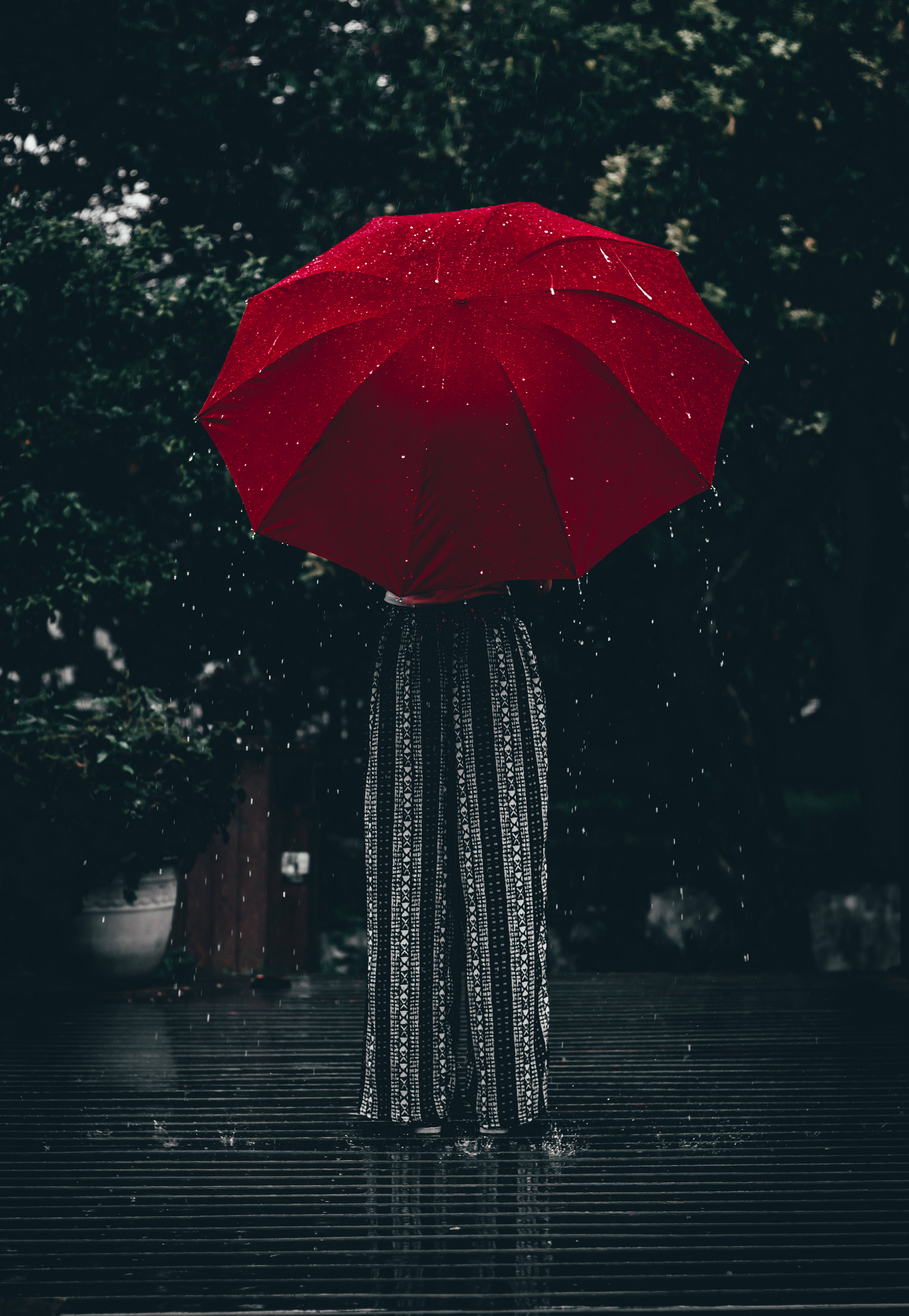 紅黑 桌布 壁紙 — 一個穿著圖案裙嘅人喺樹木環繞嘅深色木甲板上，雨點落下時揸住一把鮮紅色嘅雨傘。