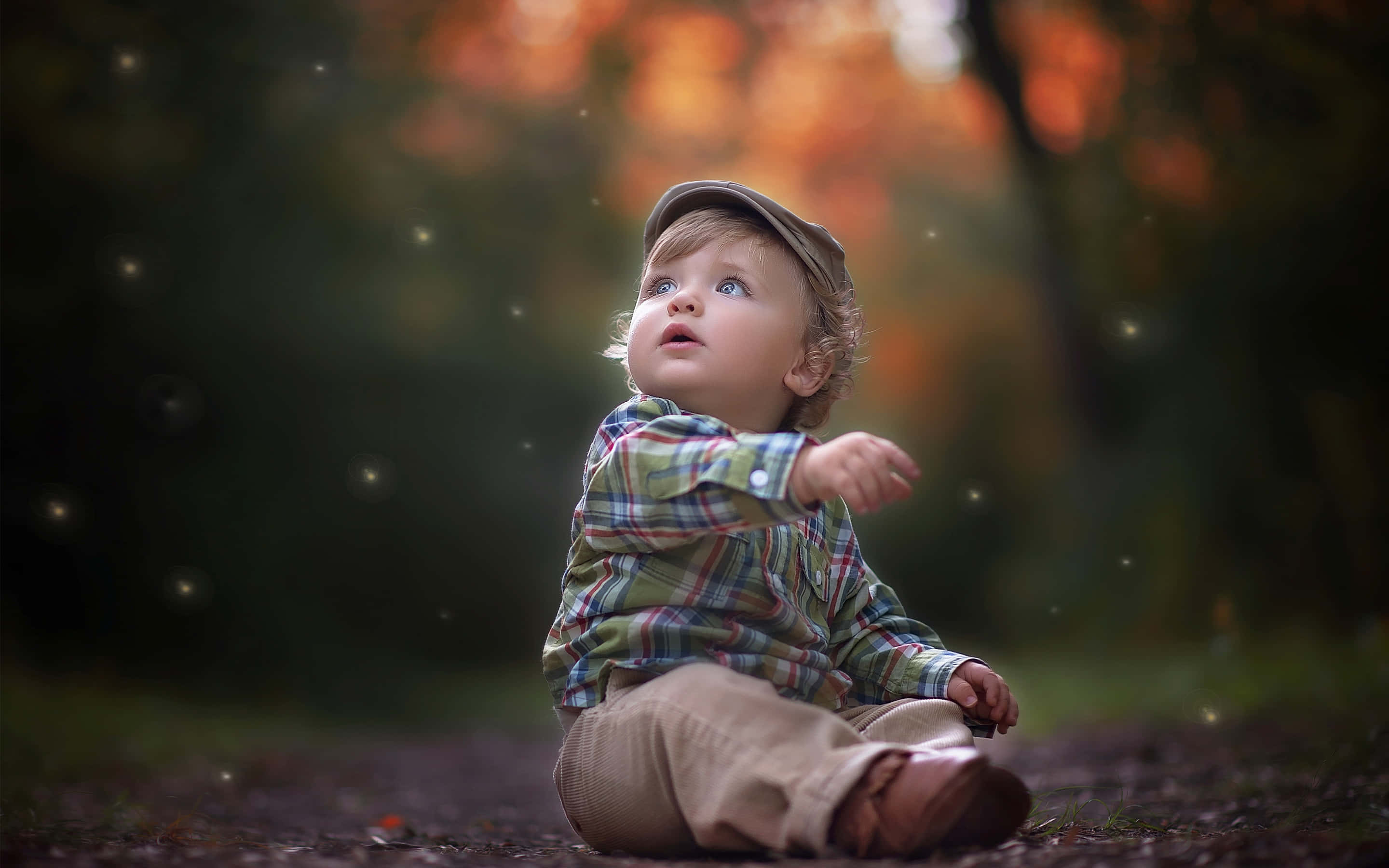 Boy 桌布 壁紙 — 一個穿著格仔衫和帽子的年幼孩子坐在森林小徑上，當金色光線穿過秋樹時，他充滿驚奇地向上凝望。