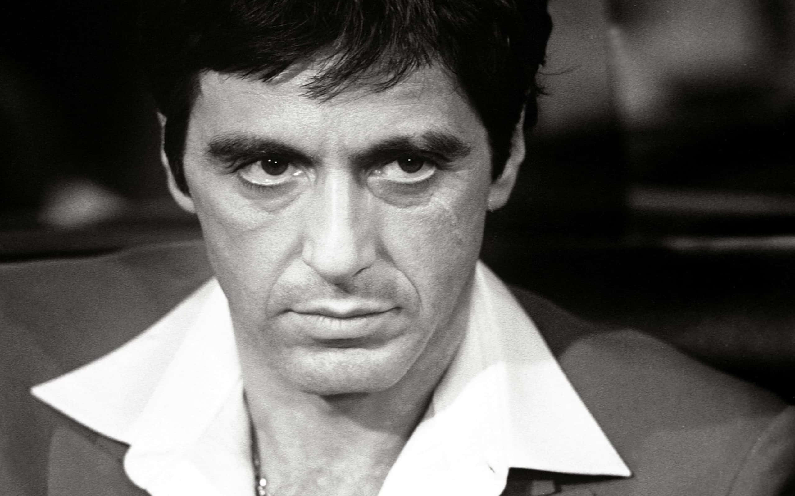 Al Pacino 桌布 壁紙 — 一個穿著白色有領襯衫、眼神銳利、表情嚴肅的男人的黑白特寫肖像。