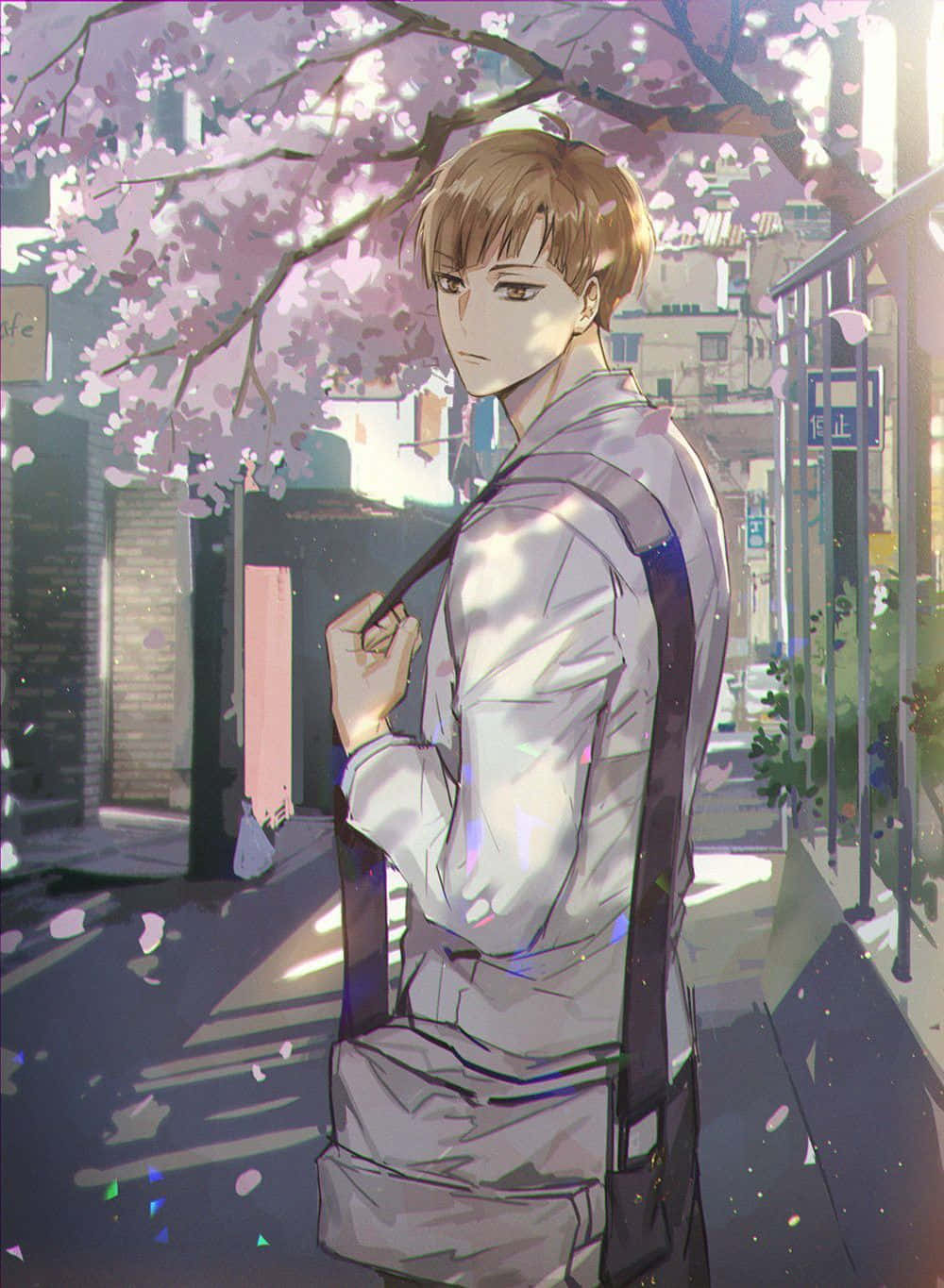 Shirabu Kenjirou 桌布 壁紙 — 一個穿著白襯衫的年輕動漫男孩站在一條寧靜街道上盛開的櫻花樹下，花瓣在他周圍飄落。