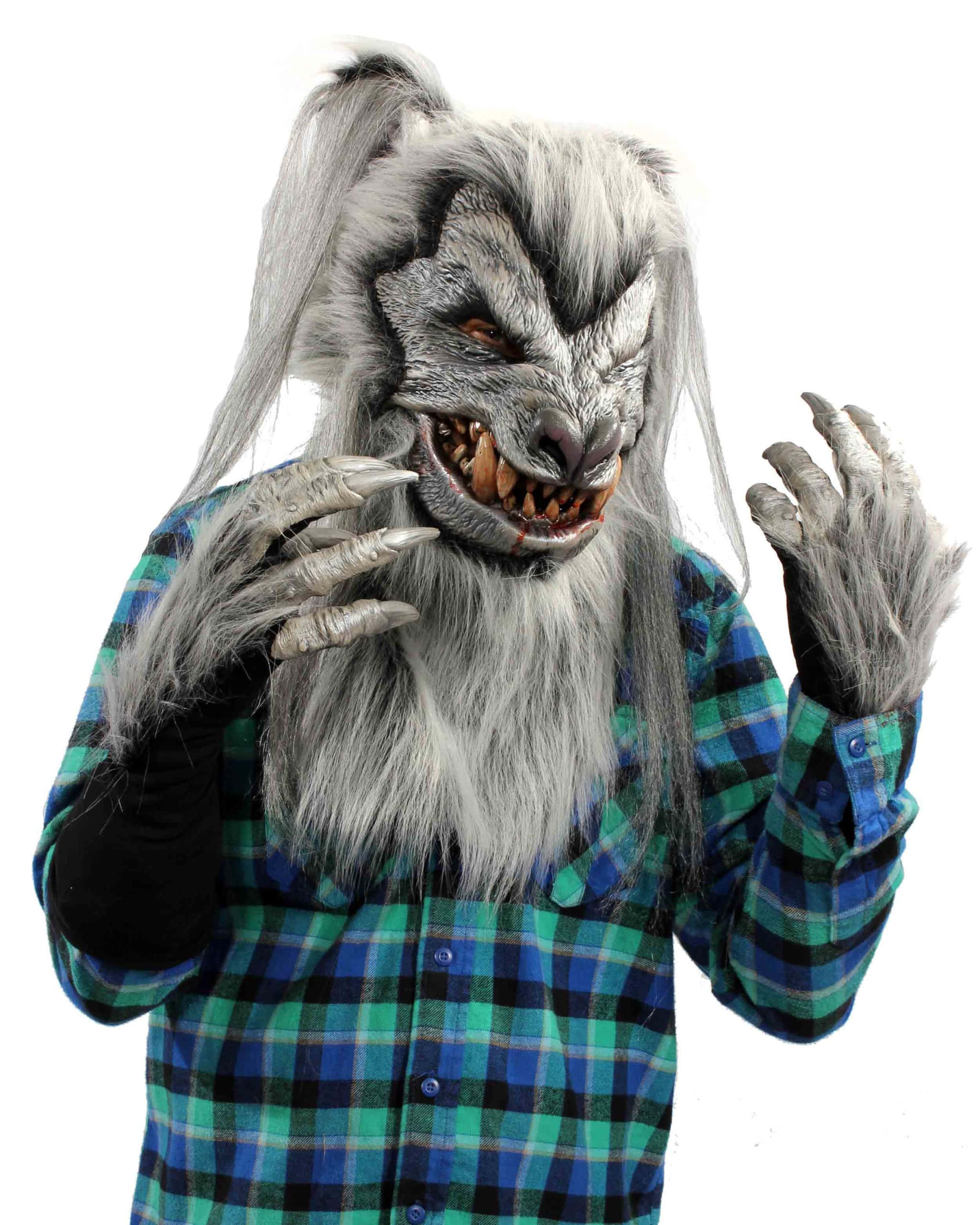 Werewolf Costumes 桌布 壁紙 — 一個穿著細緻灰色狼人服裝、擁有鋒利爪子和露出牙齒的人，在白色背景前穿著藍綠色格仔襯衫。